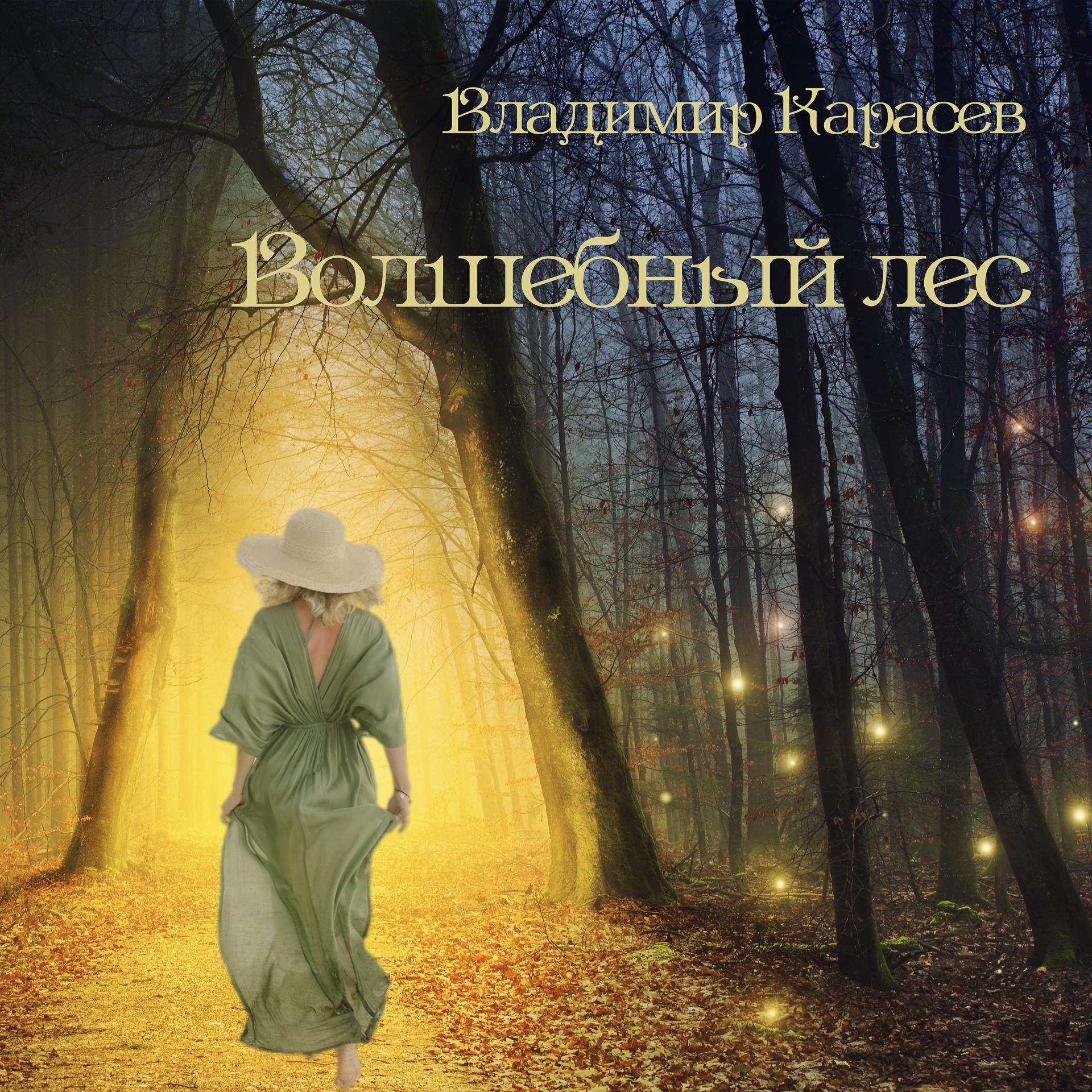 Постер альбома Волшебный лес.