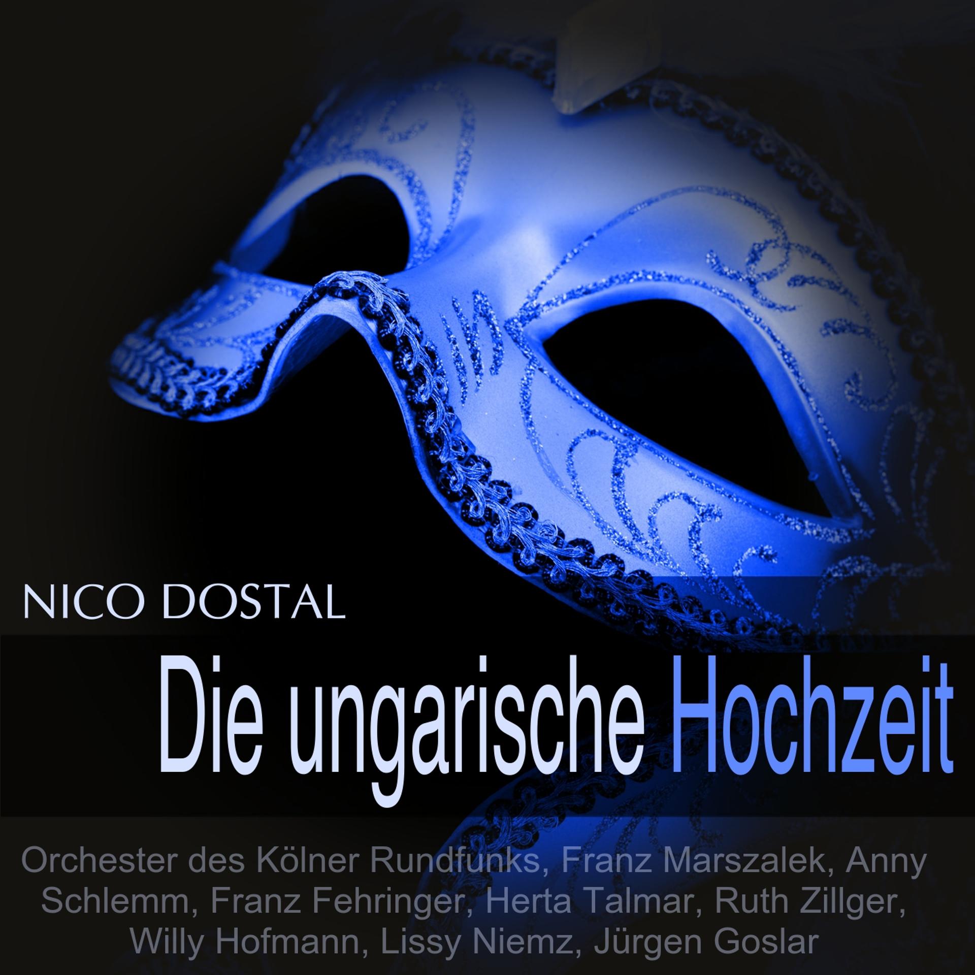Постер альбома Dostal: Die ungarische Hochzeit