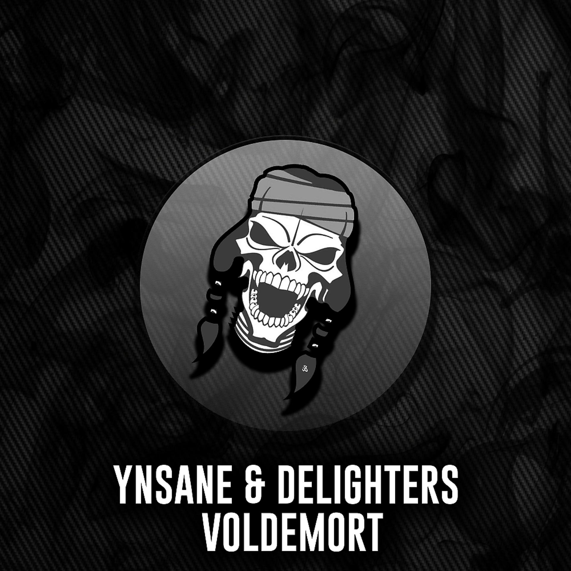Постер альбома Voldemort