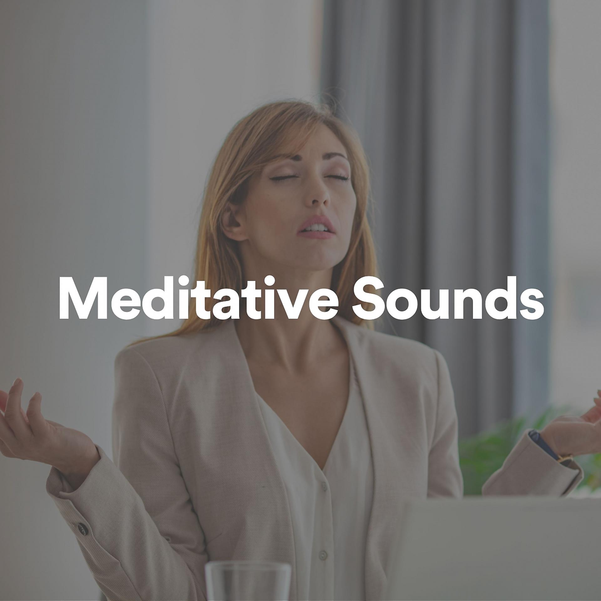 Постер альбома Meditative Sounds