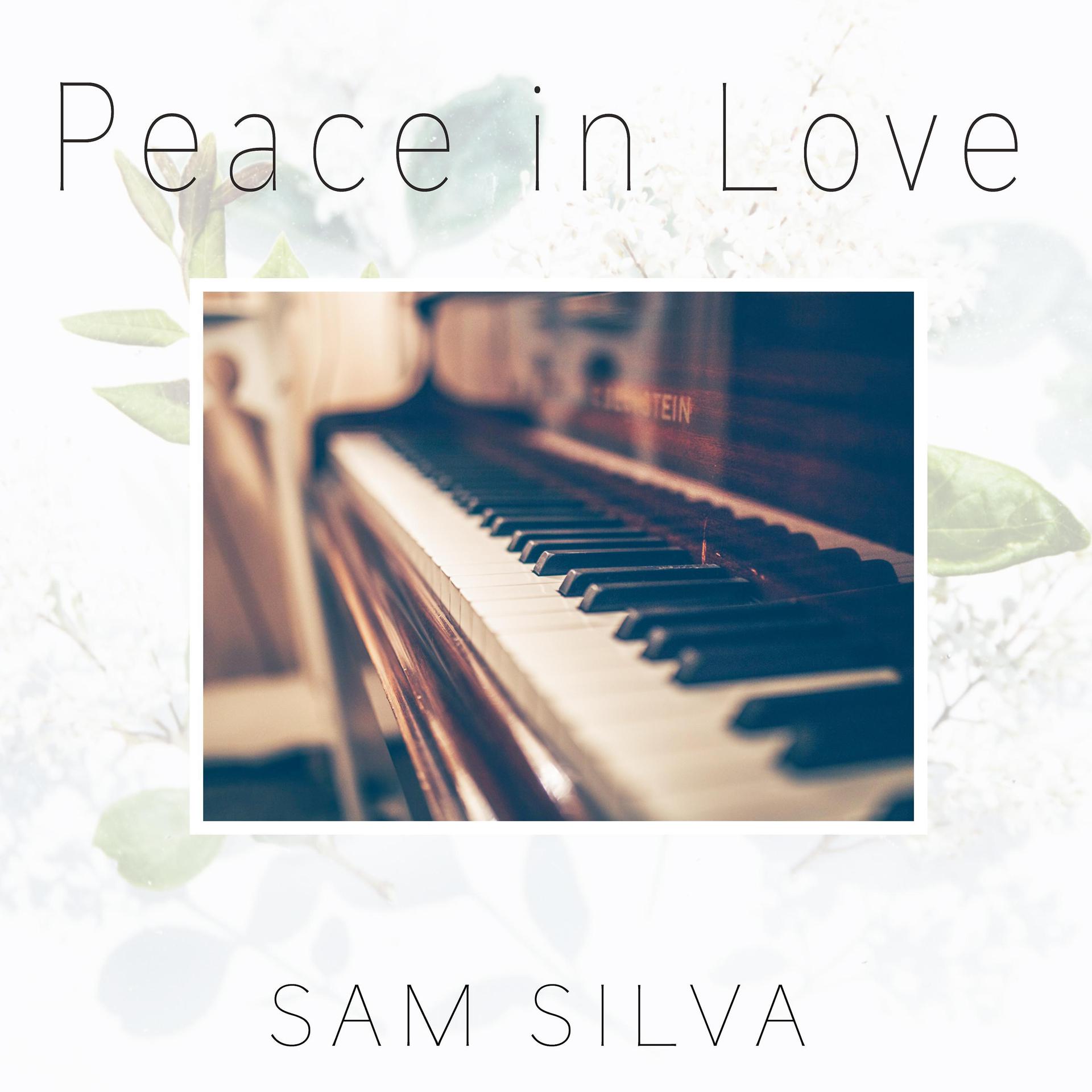 Постер альбома Peace in Love