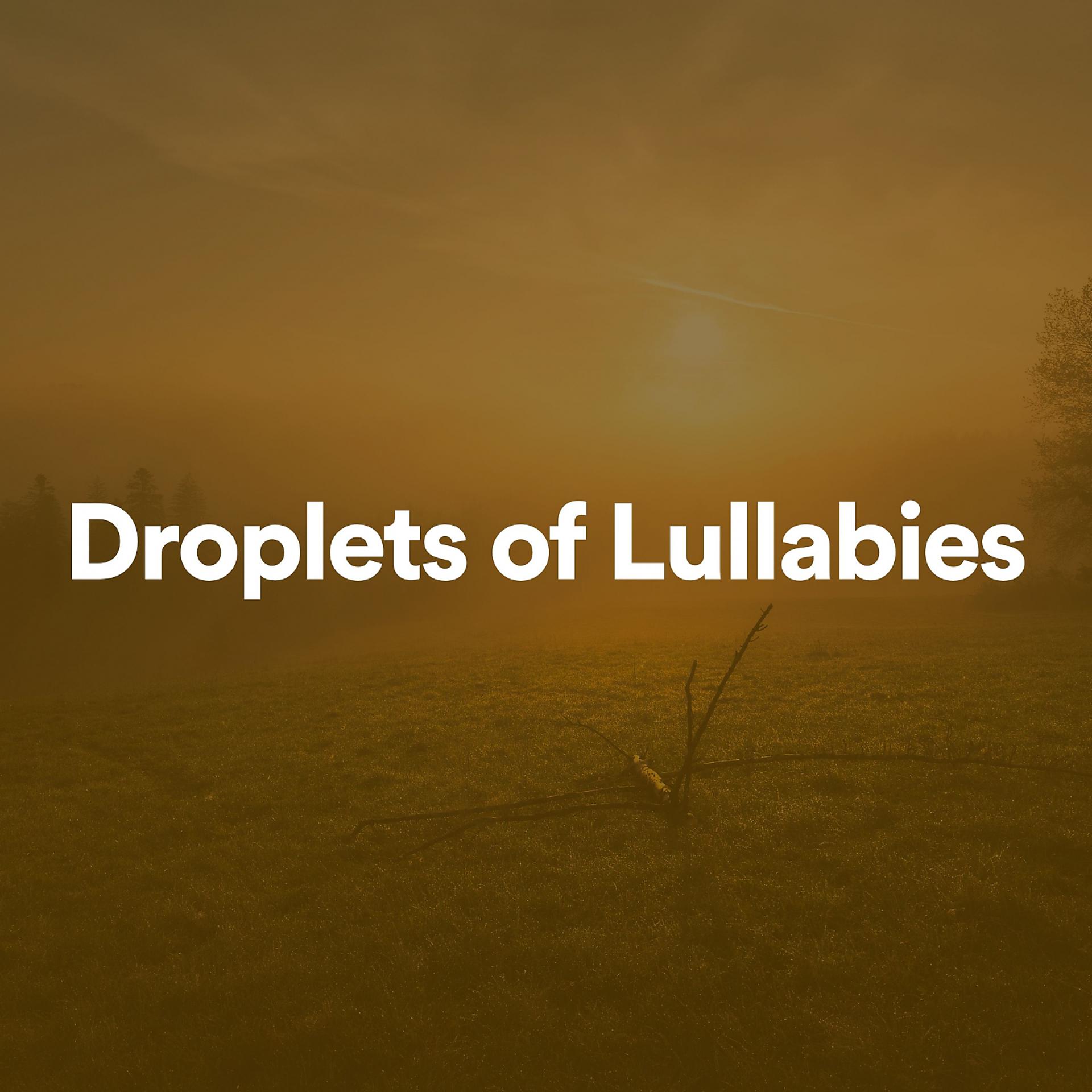 Постер альбома Droplets of Lullabies