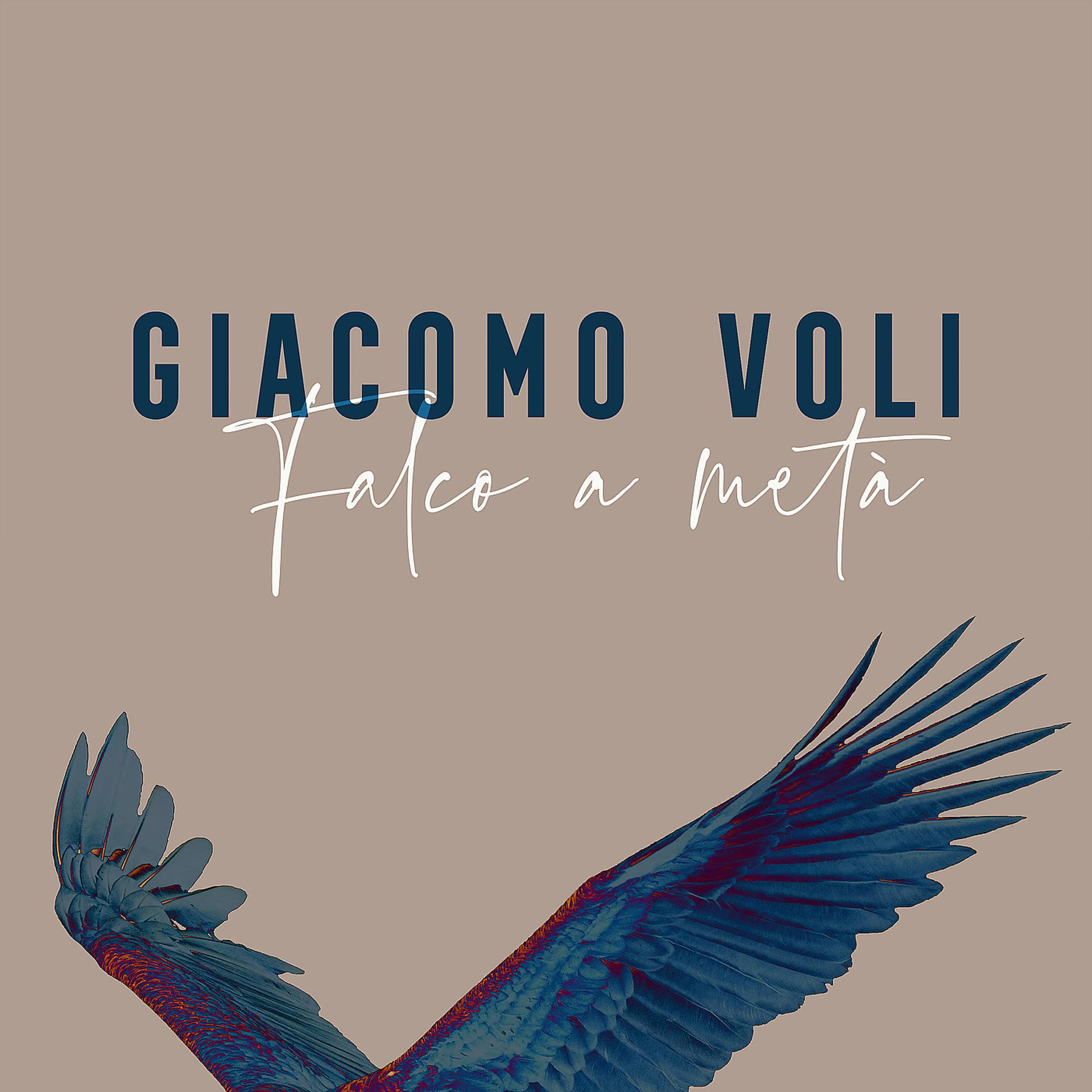 Постер альбома Falco a metà