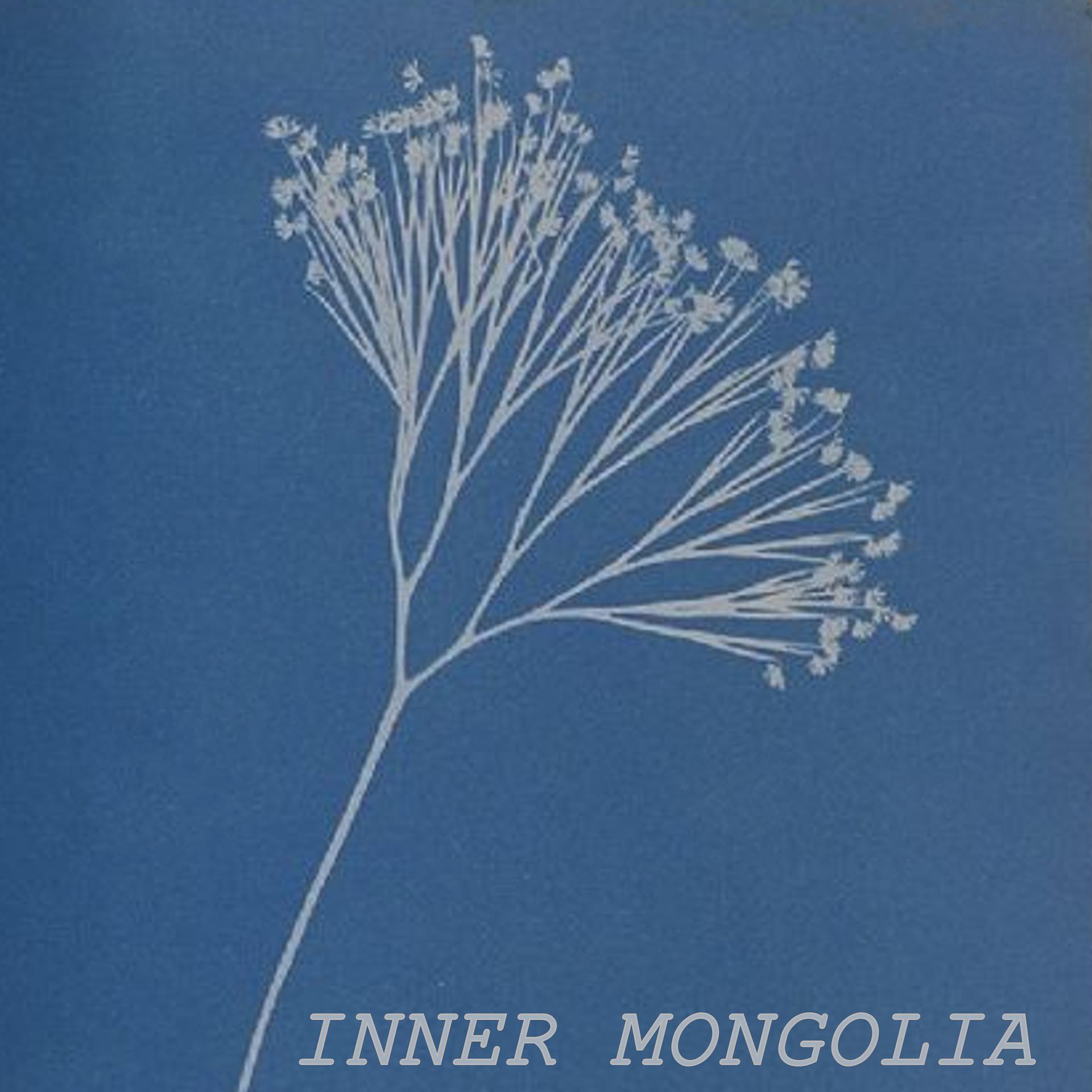 Постер альбома Inner Mongolia