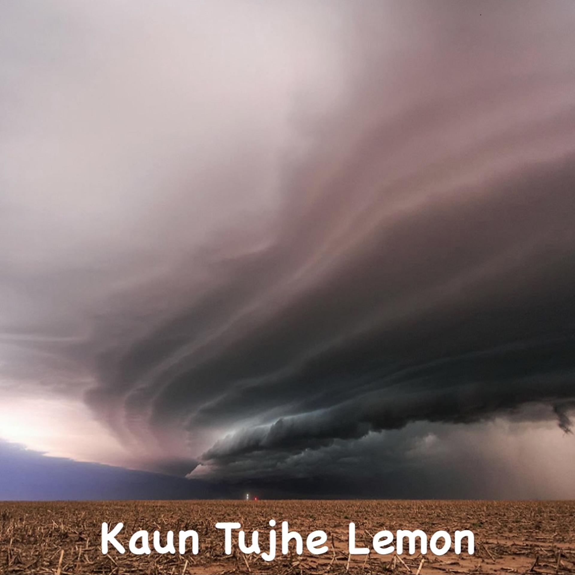 Постер альбома Kaun Tujhe Lemon