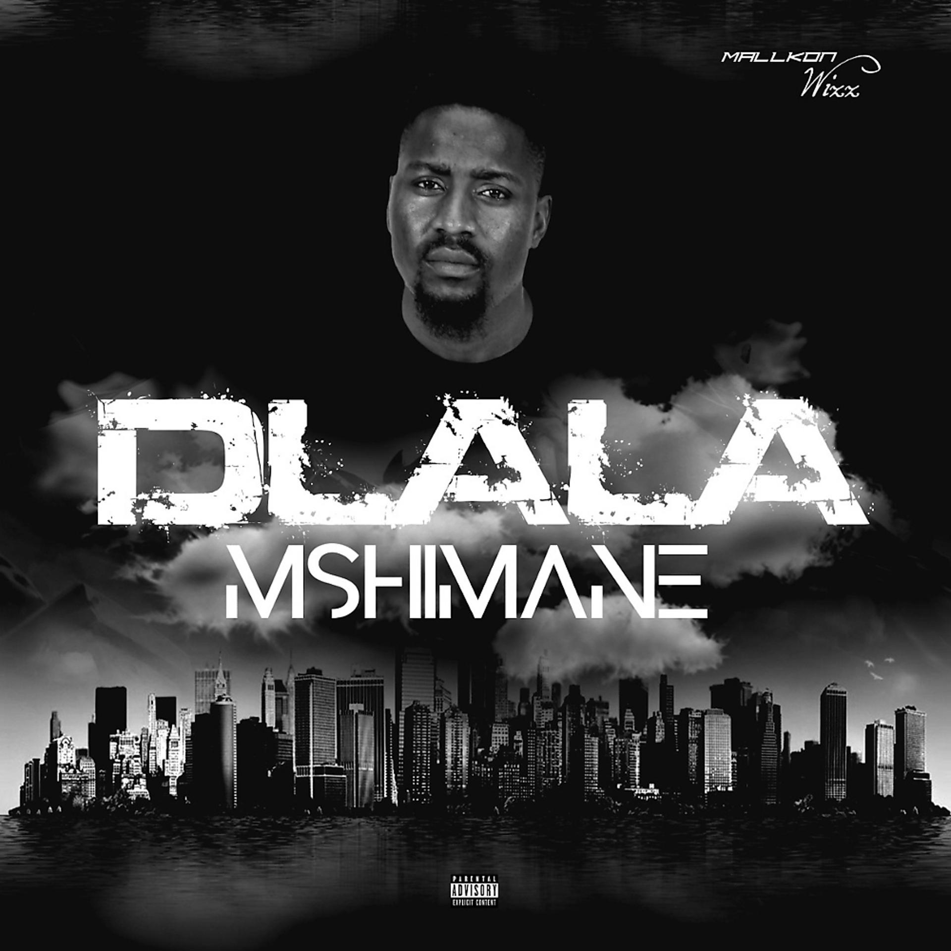 Постер альбома Dlala Mshimane