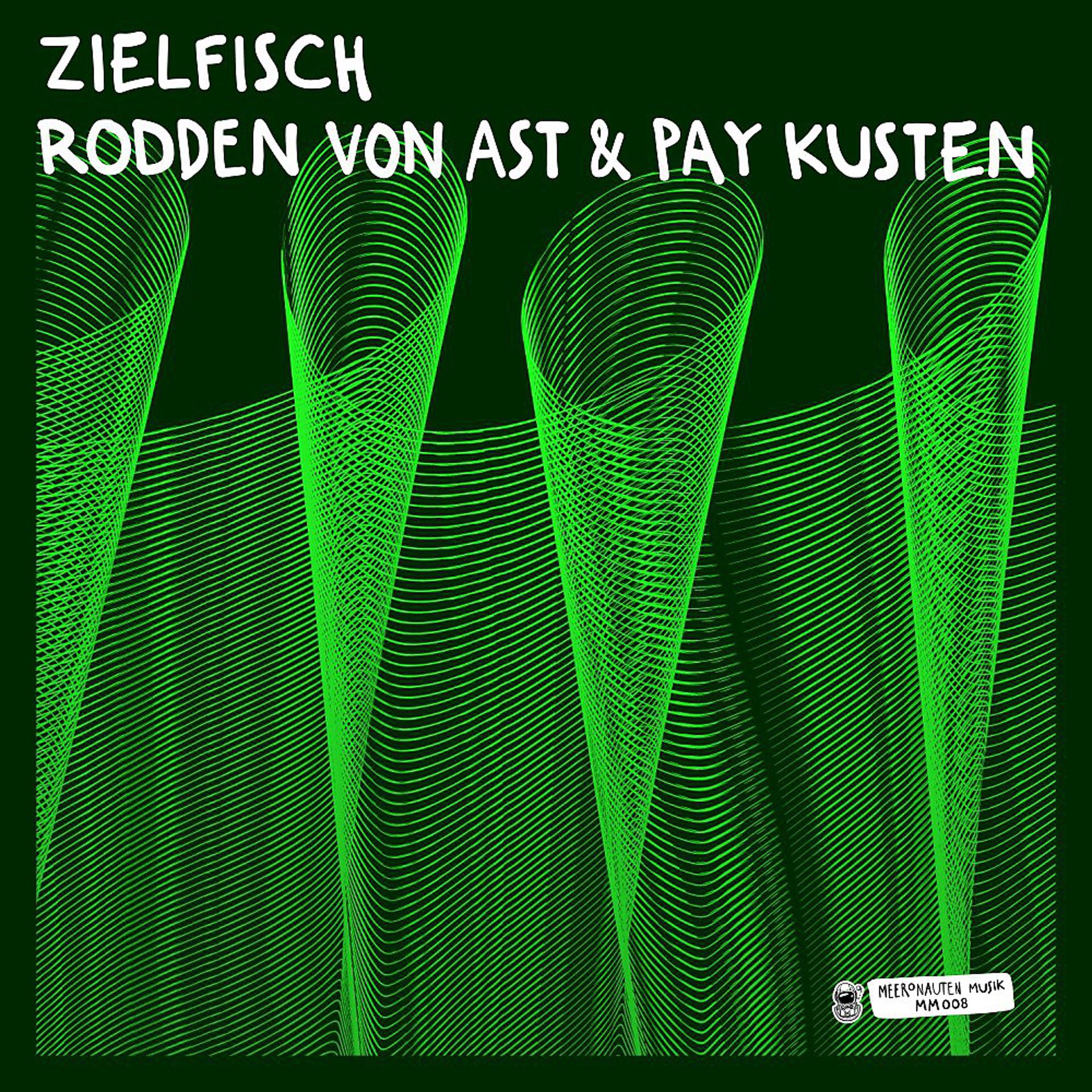 Постер альбома Zielfisch