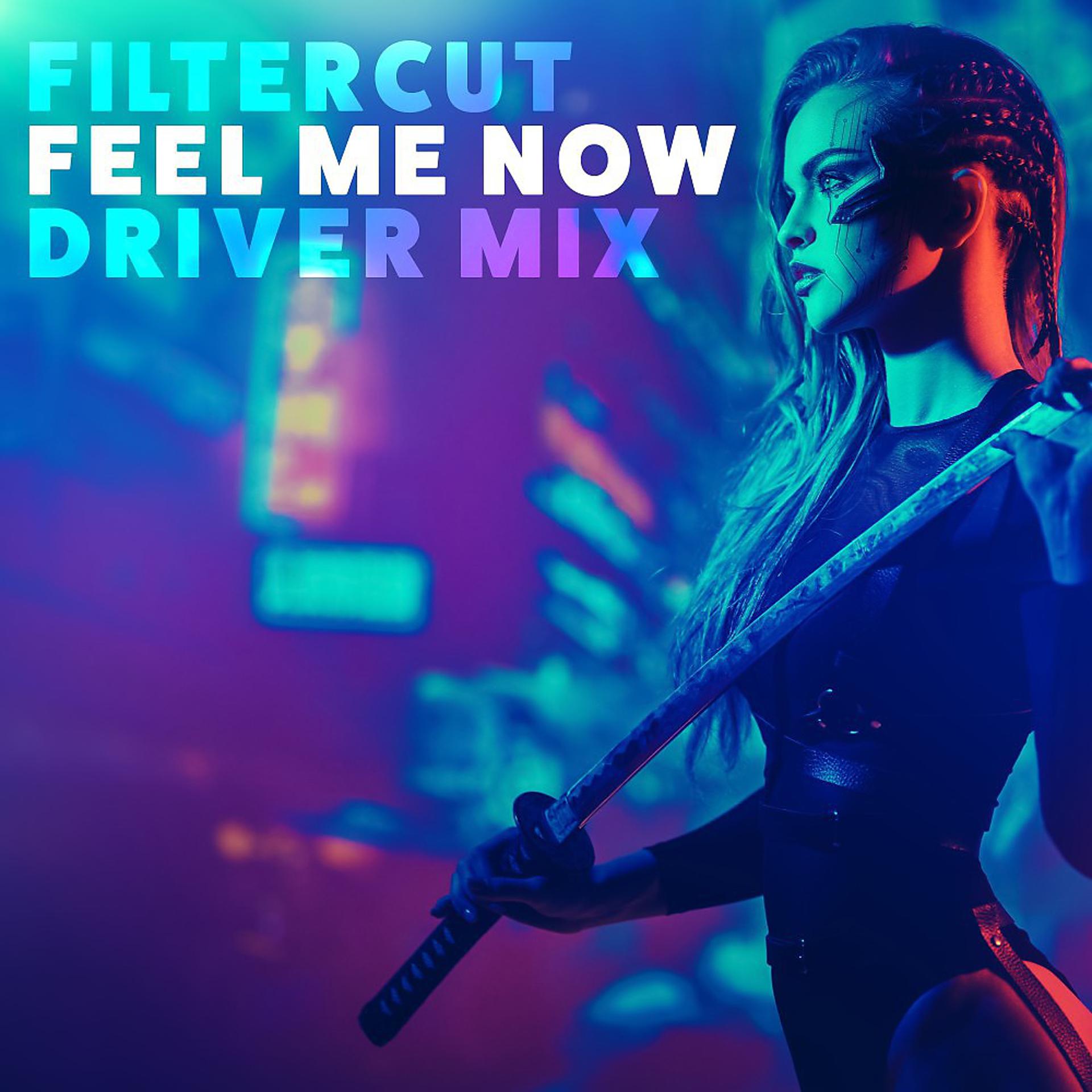 Постер альбома Feel Me Now (Driver Mix)