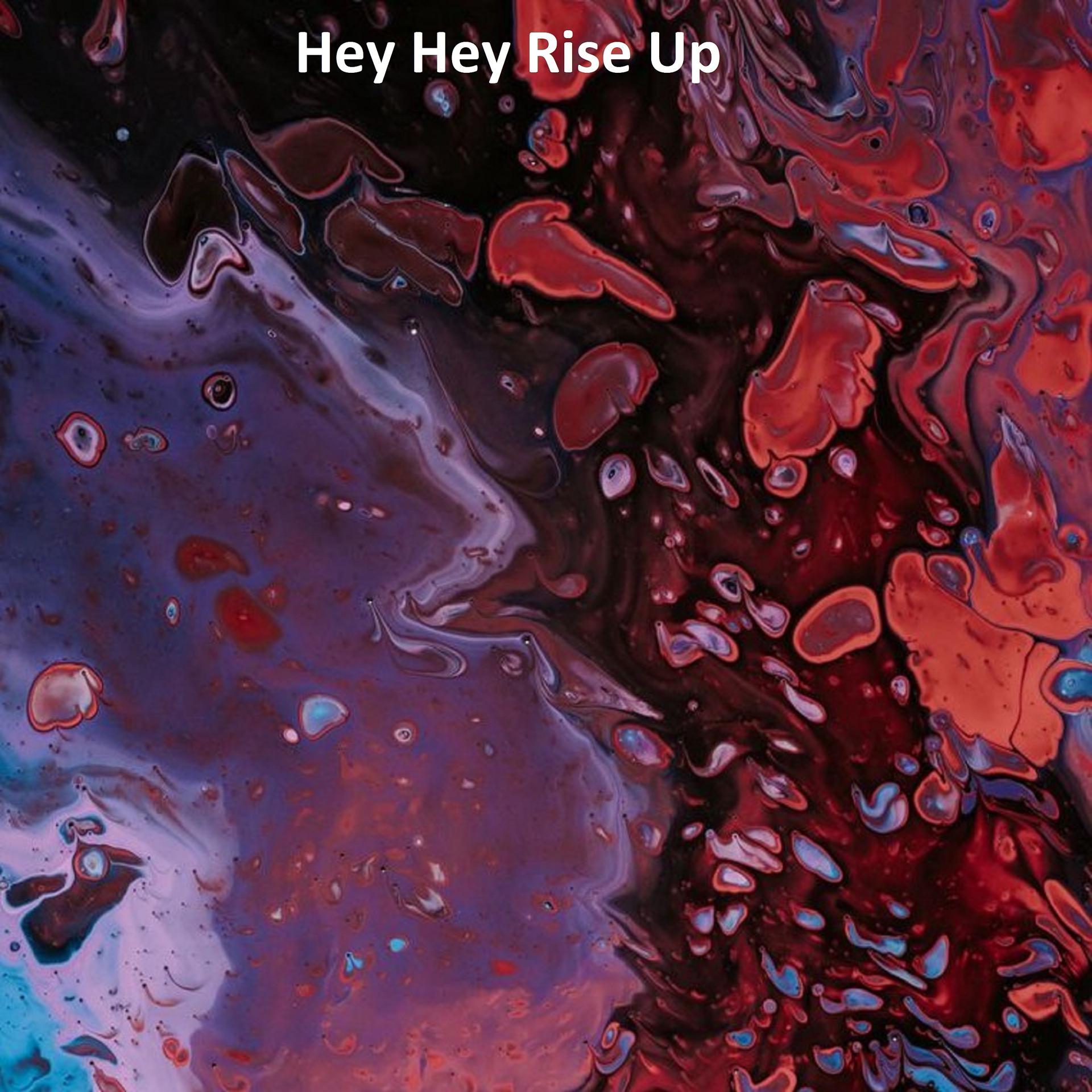 Постер альбома Hey Hey Rise Up