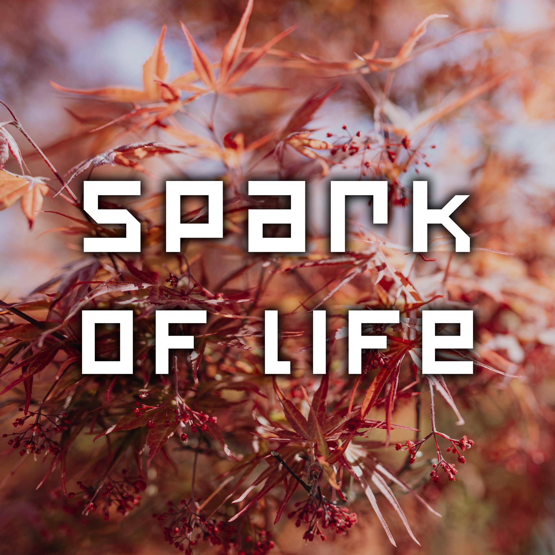 Постер альбома Spark of Life