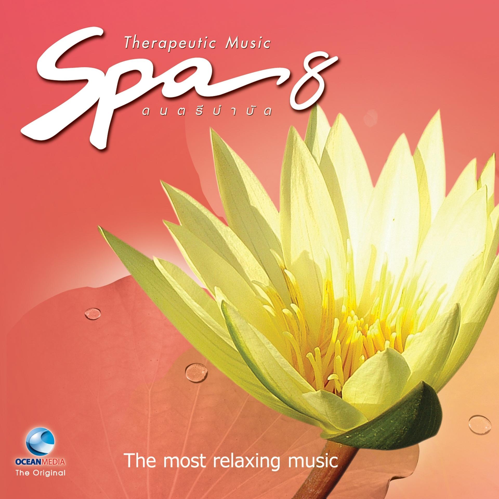 Постер альбома Spa Music ดนตรีบำบัด, Vol. 8