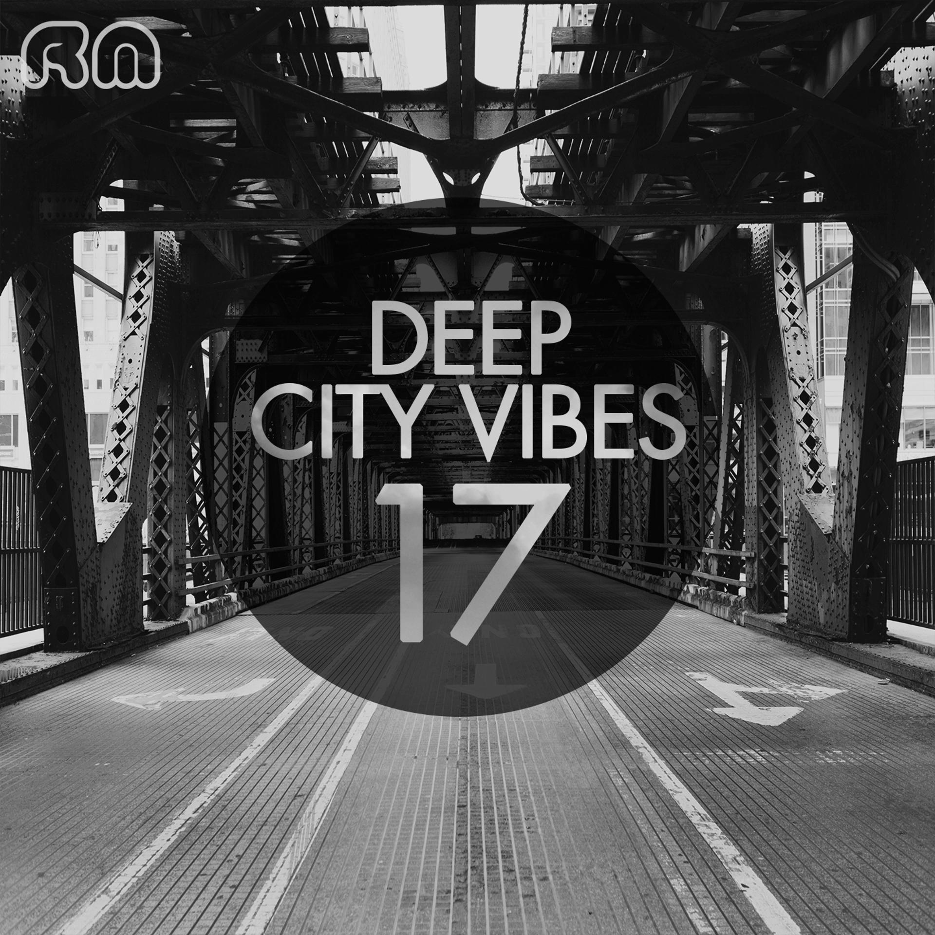Постер альбома Deep City Vibes, Vol. 17