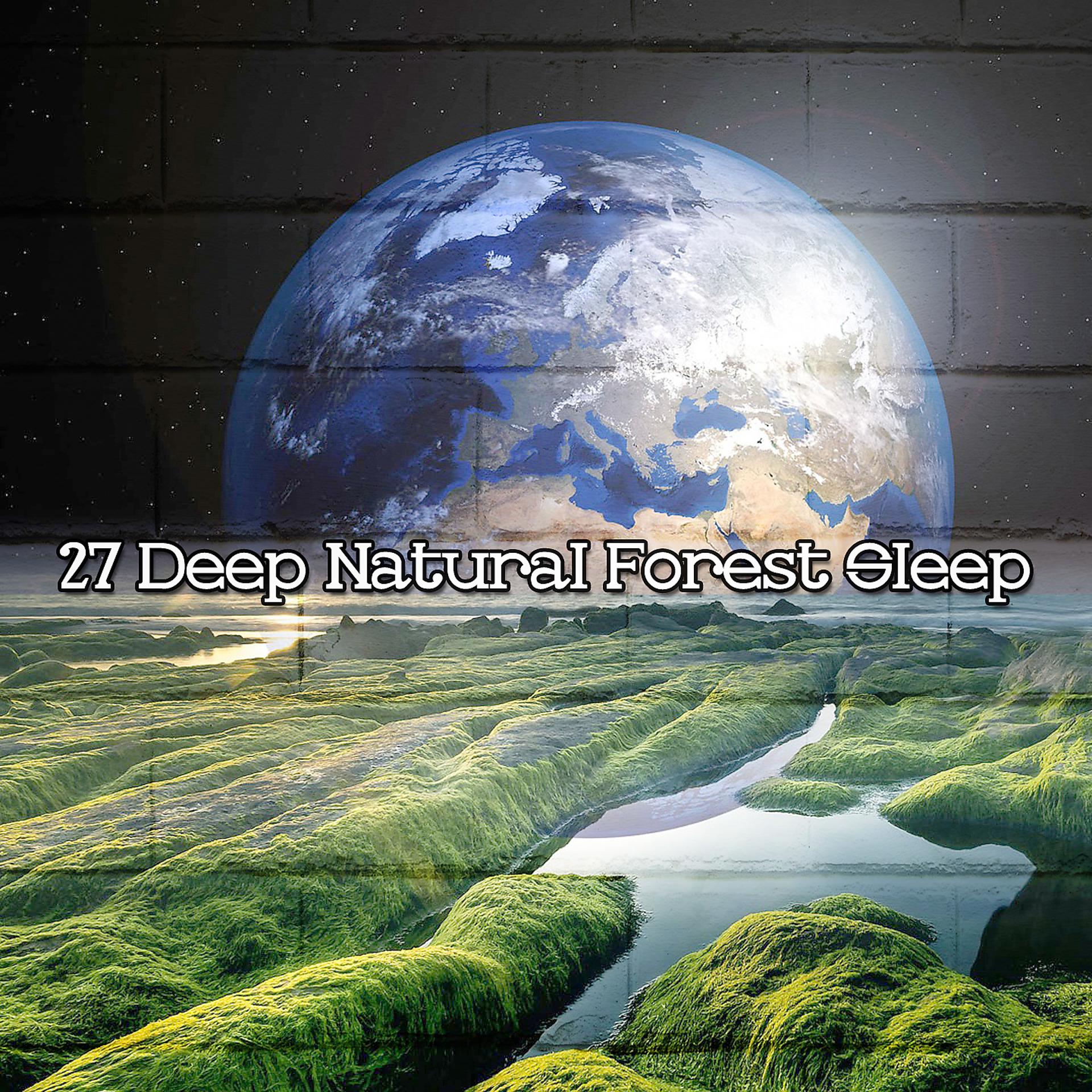 Постер альбома 27 Глубокий естественный лесной сон
