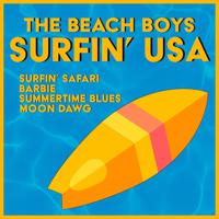 Постер альбома Surfin' USA