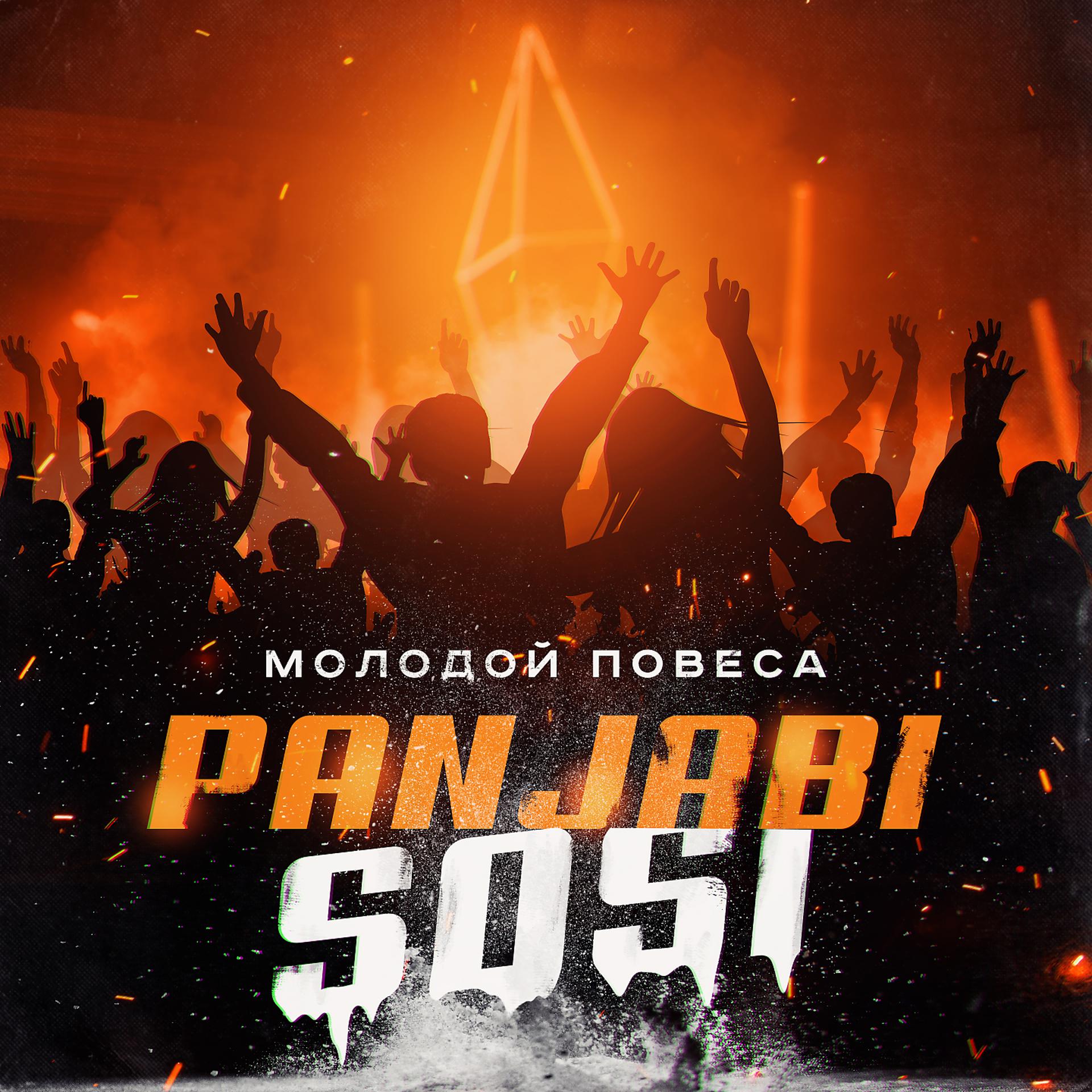 Постер альбома Panjabi SOSi