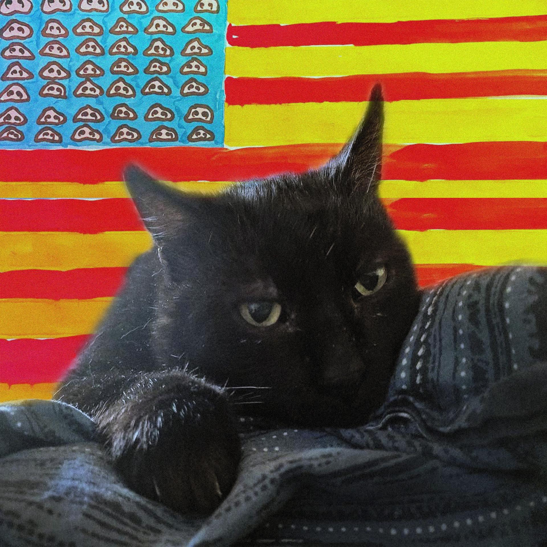Постер альбома Здоровья коту Ефиму