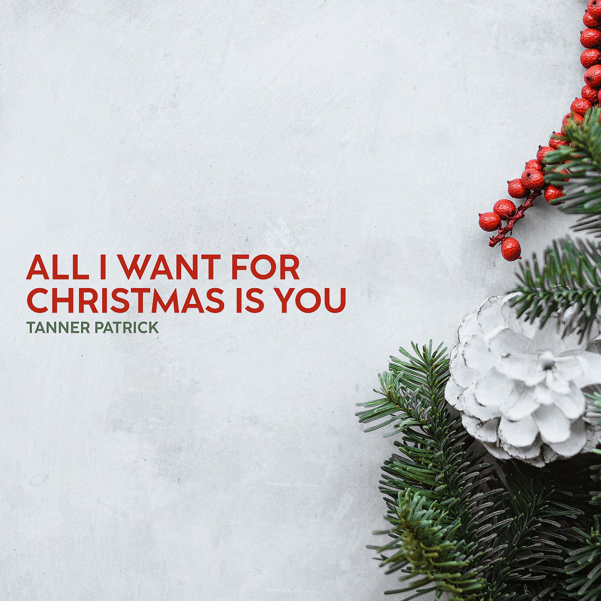 Постер к треку Tanner Patrick - All I Want for Christmas Is You