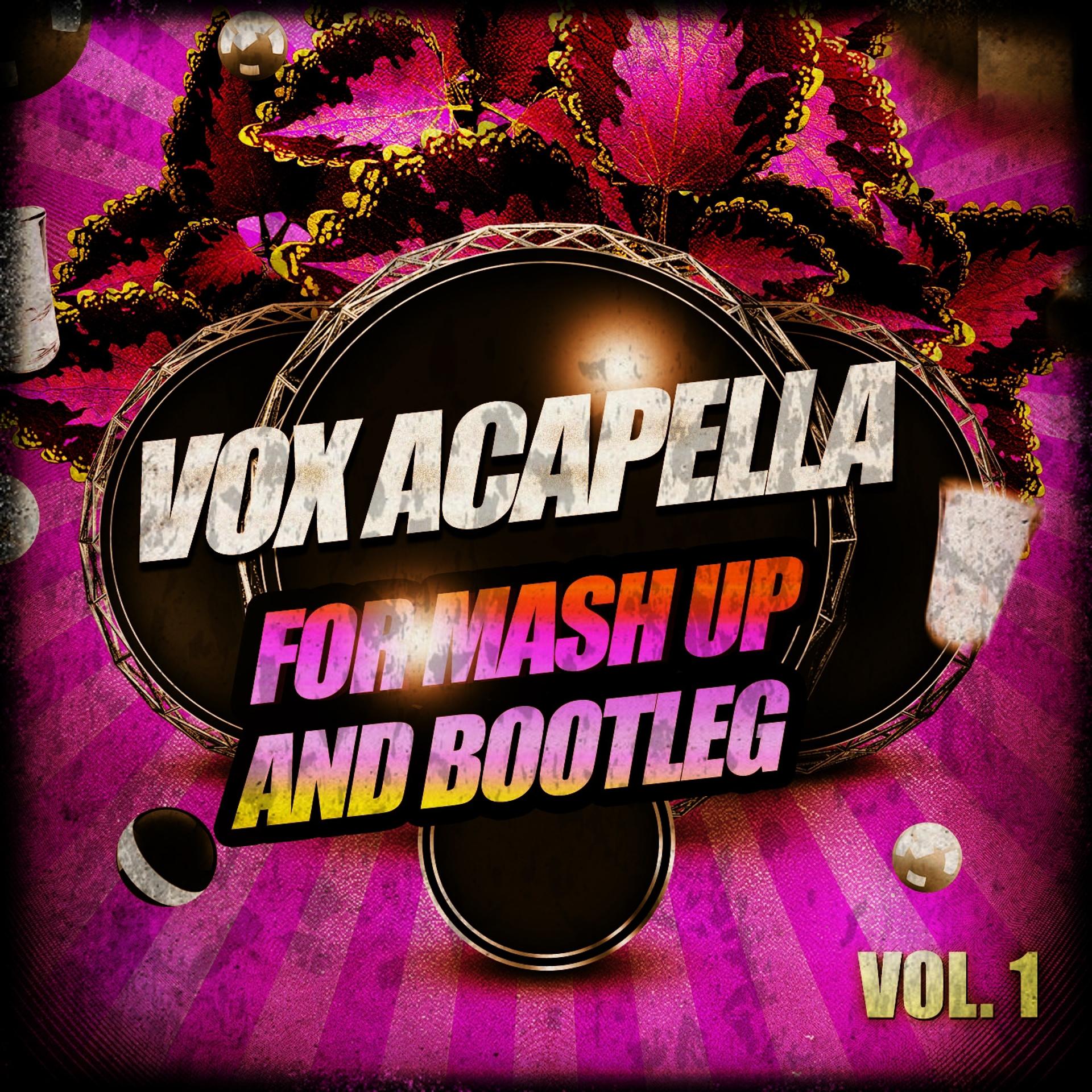 Постер альбома Vox Acapella for Mash up and Bootleg, Vol. 1