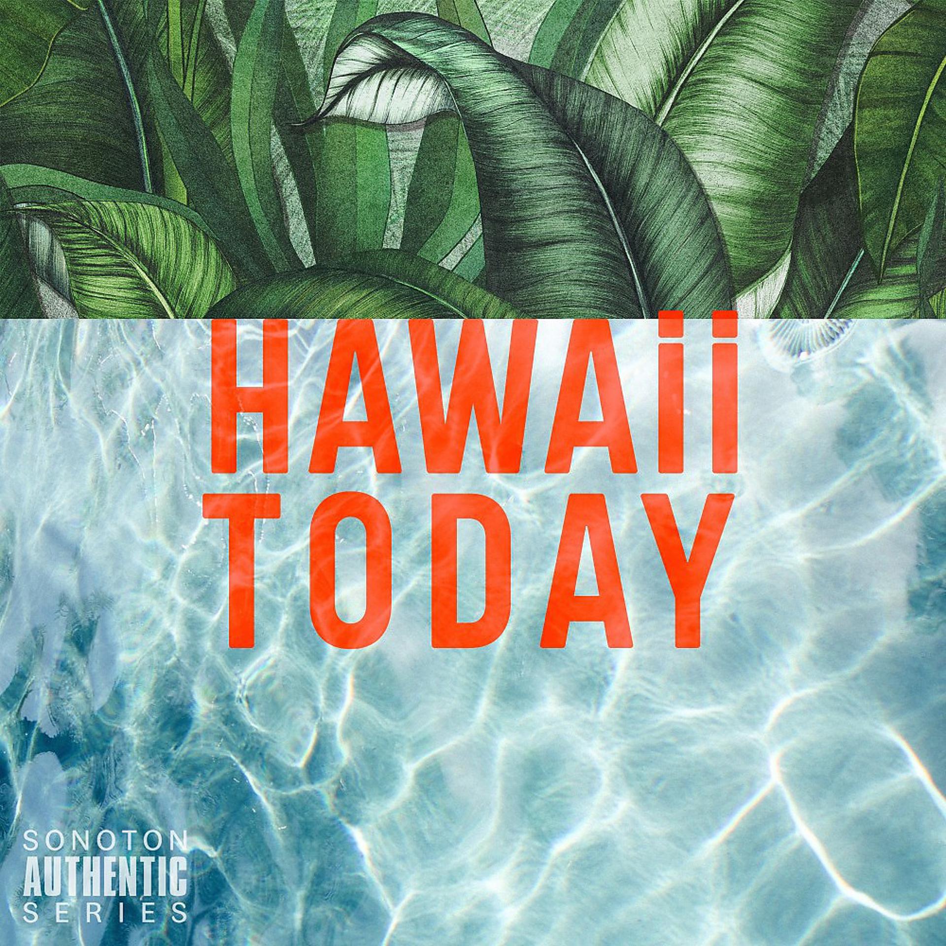 Постер альбома Hawaii Today