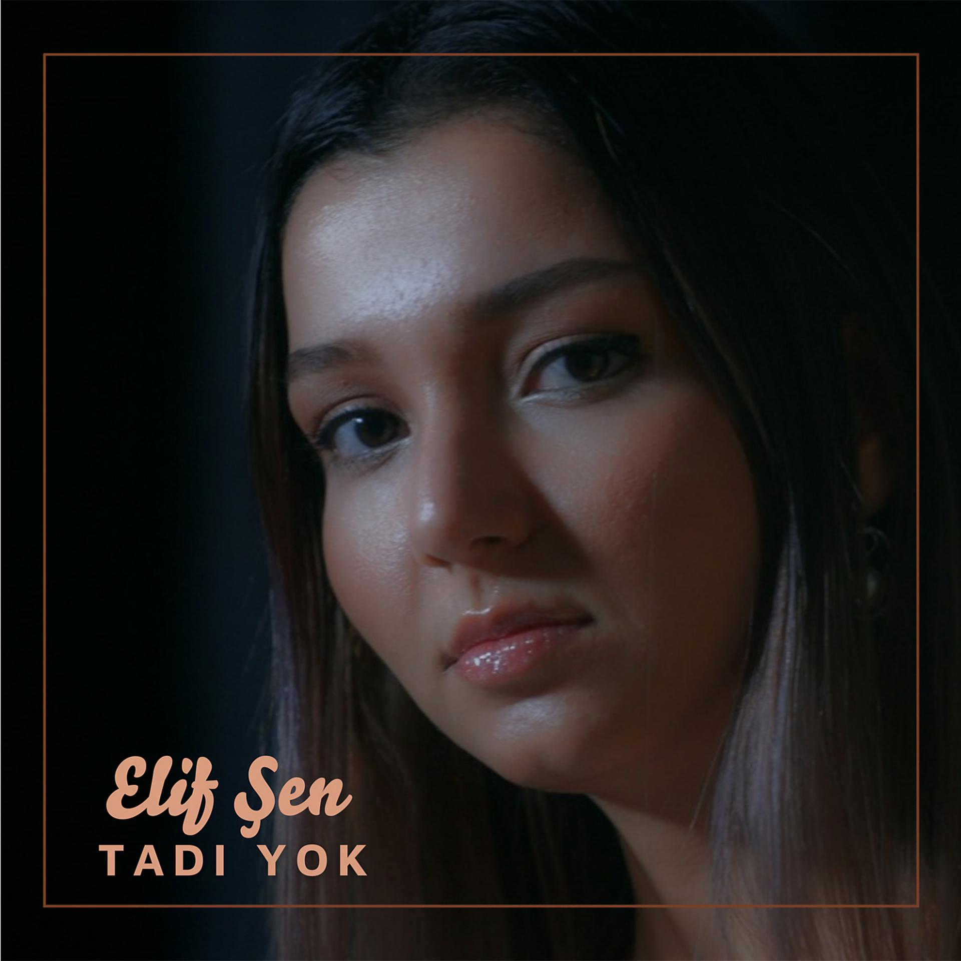 Постер альбома Tadı Yok