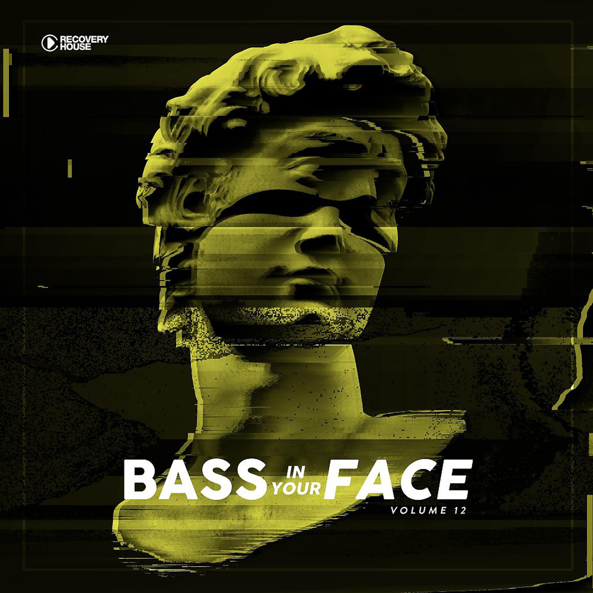 Постер альбома Bass in Your Face, Vol. 12