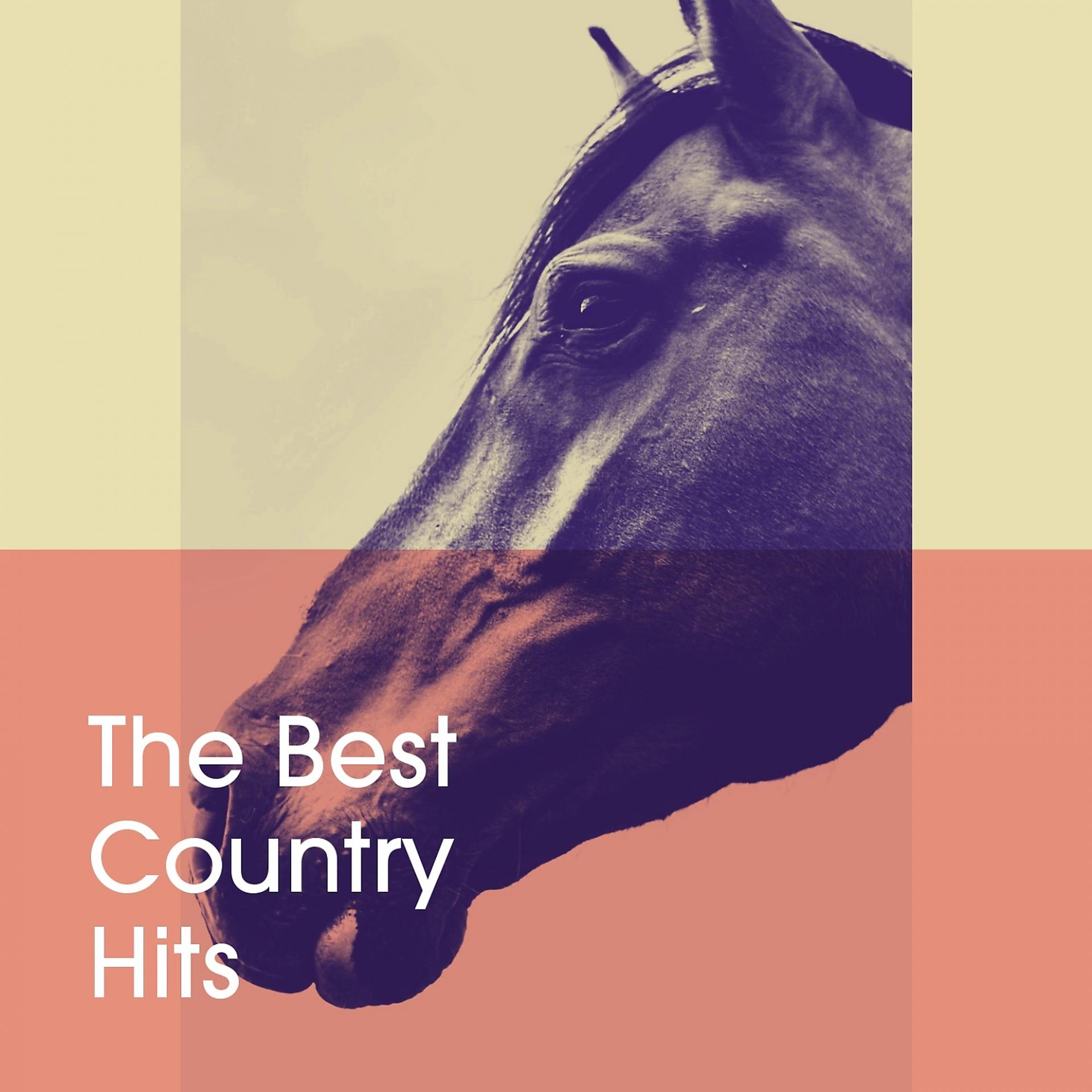 Постер альбома The Best Country Hits