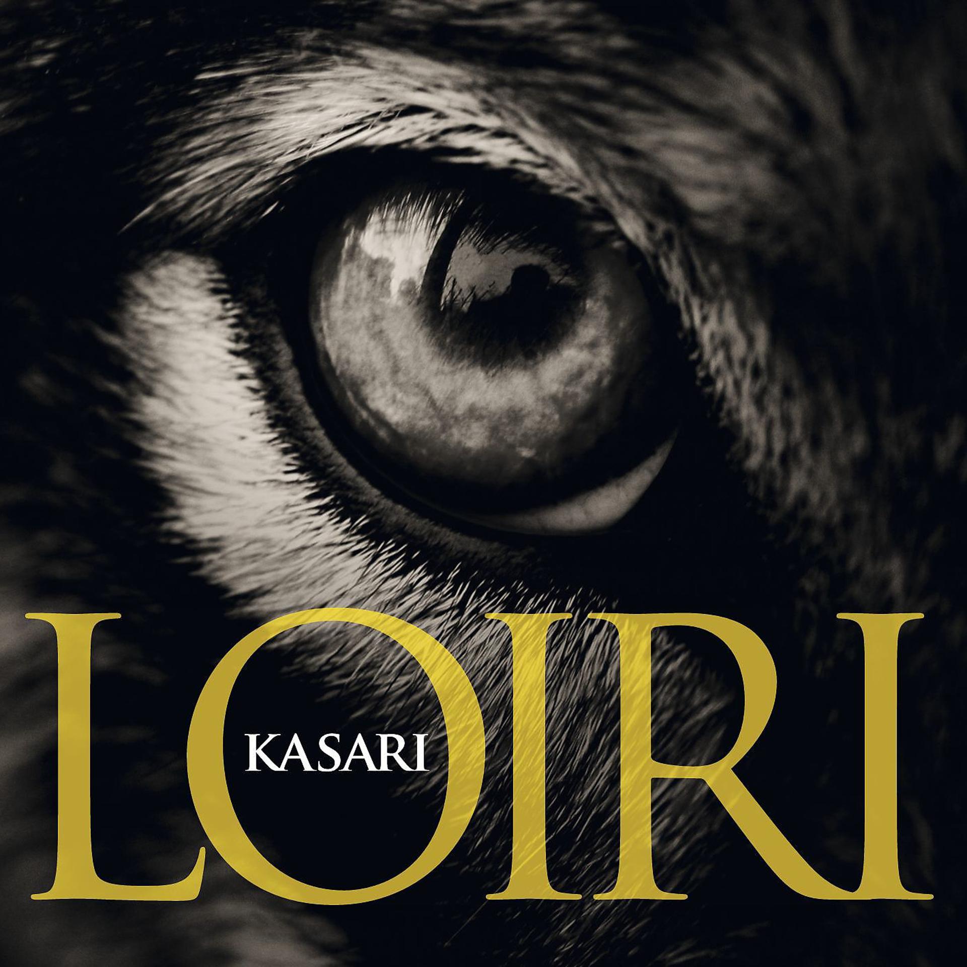 Постер альбома Kasari