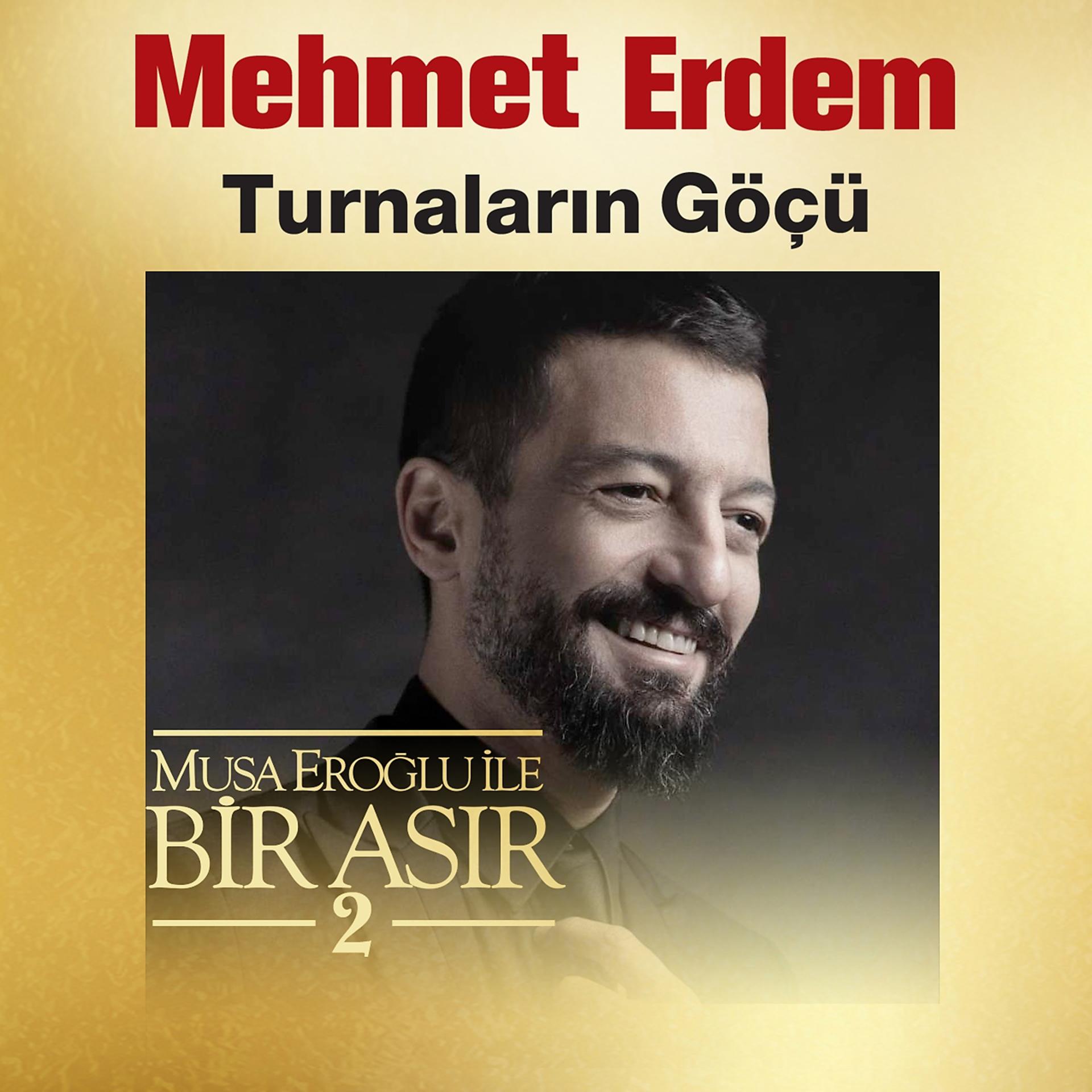 Постер альбома Turnaların Göçü