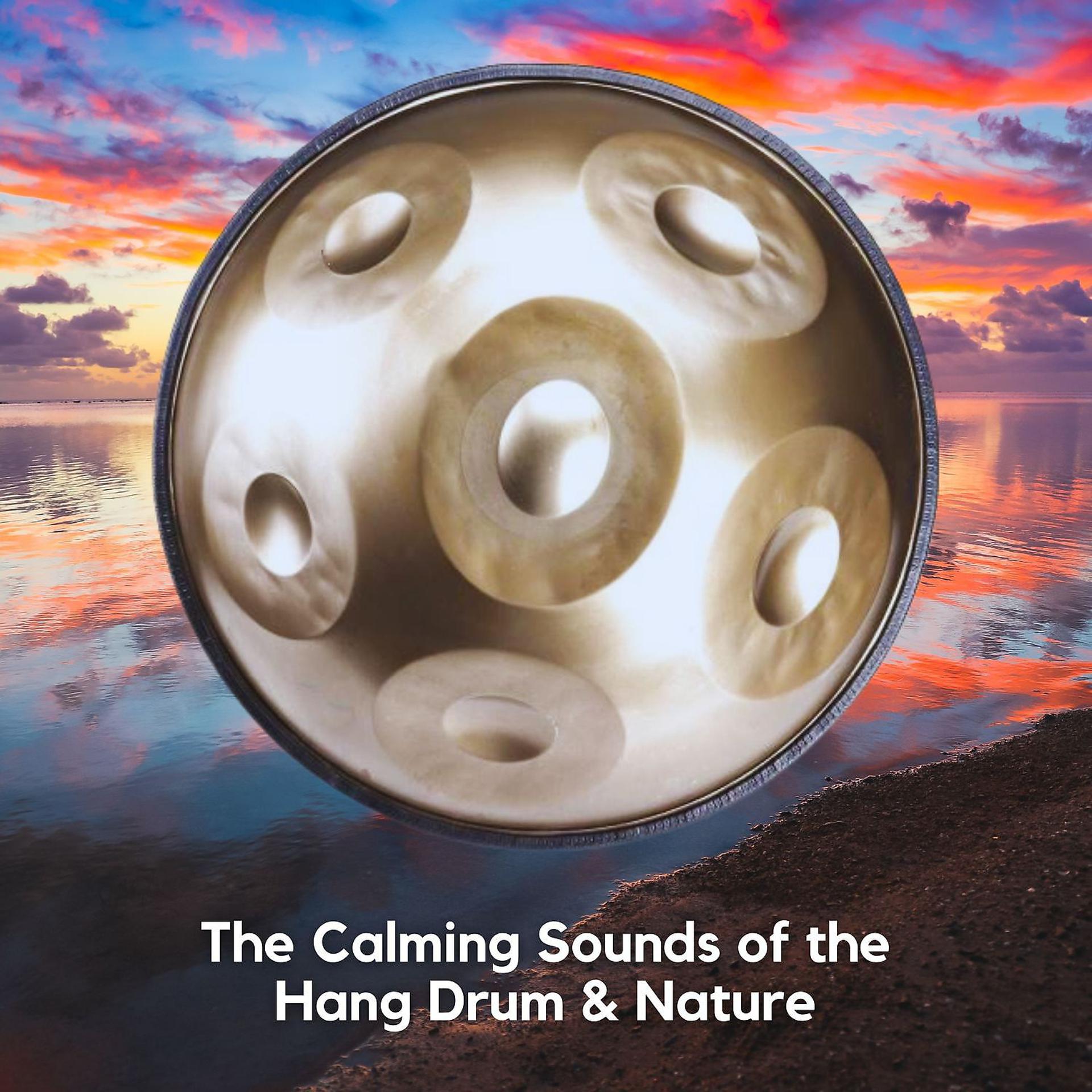 Постер альбома The Calming Sounds of the Hang Drum & Nature
