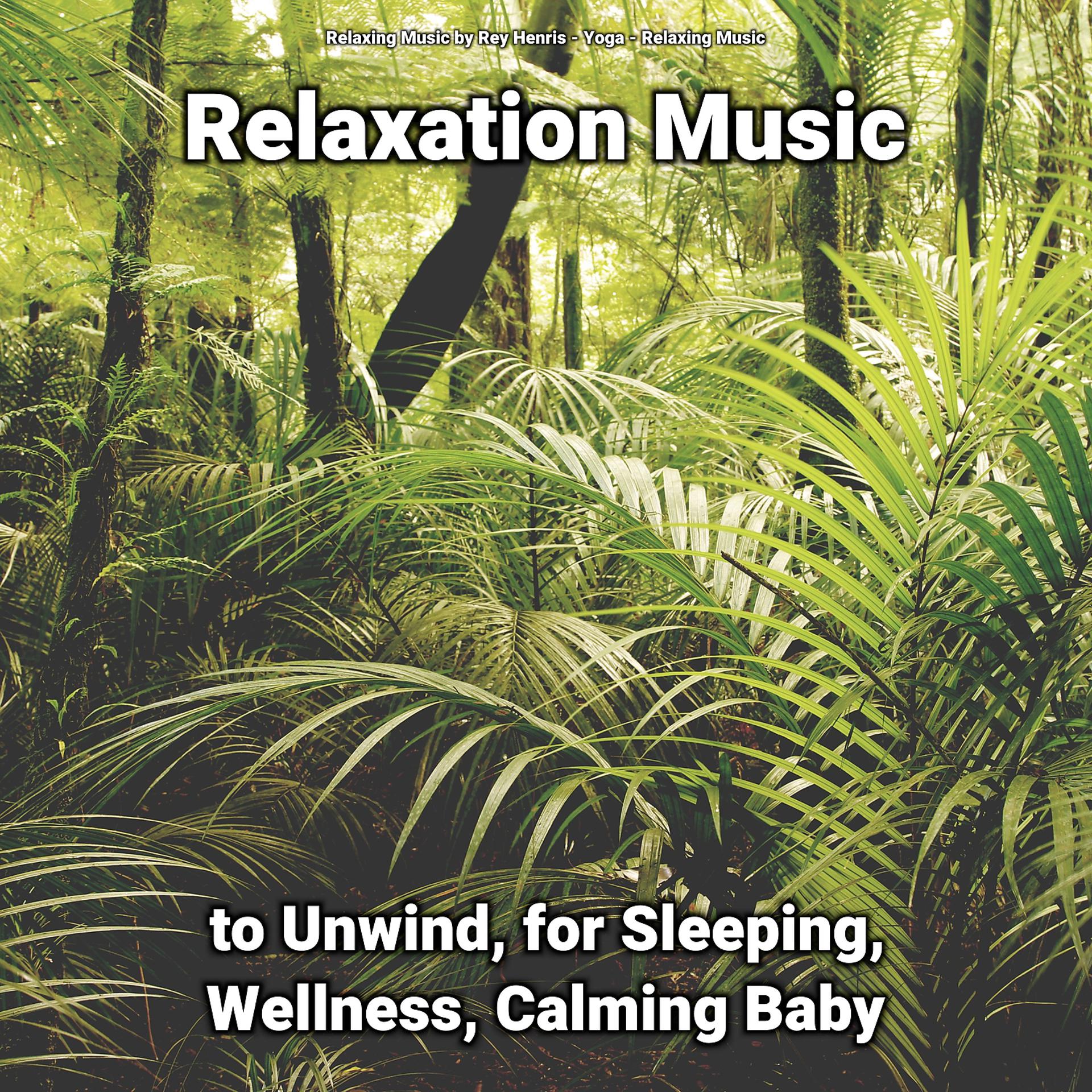 Постер альбома Relaxation Music to Unwind, for Sleeping, Wellness, Calming Baby