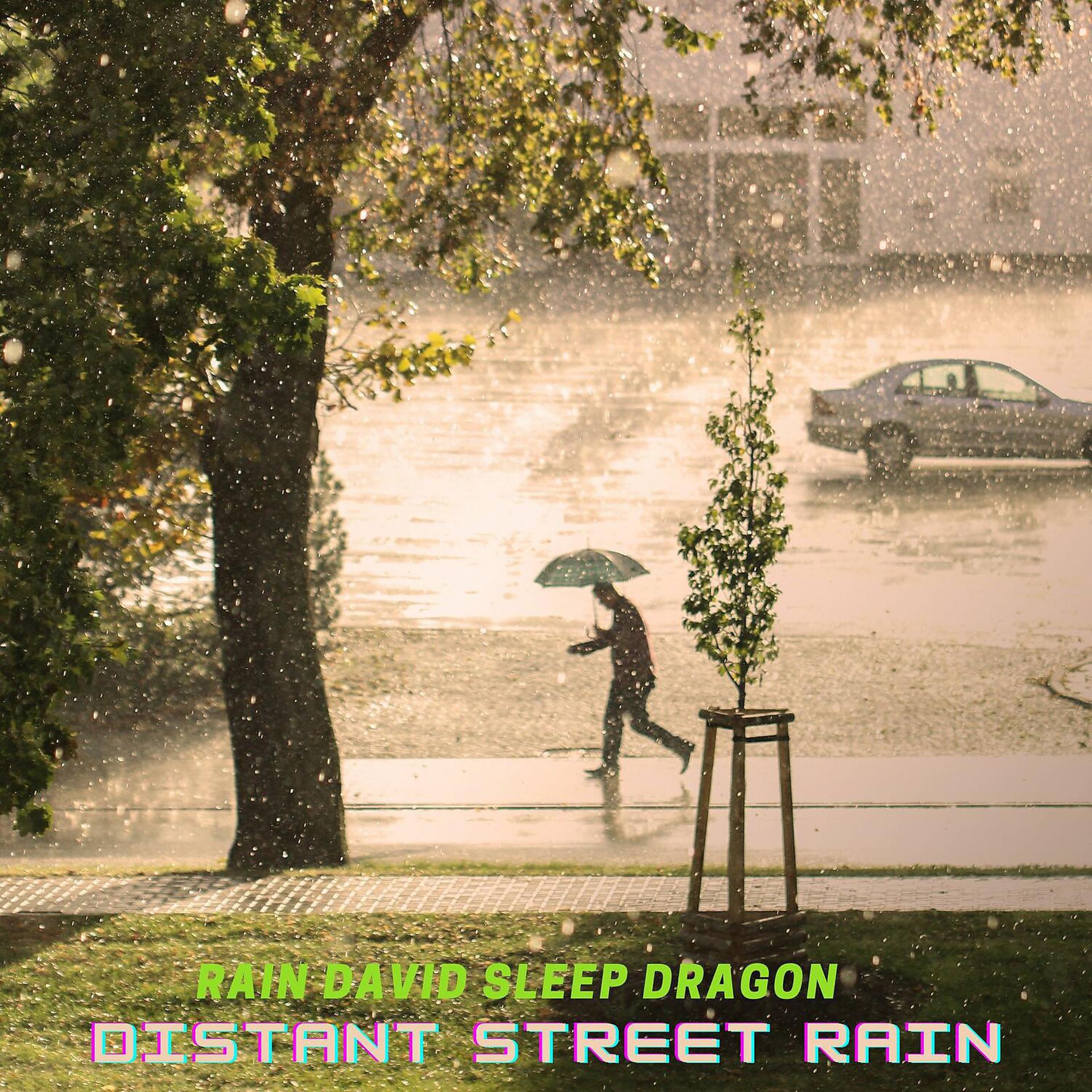 Постер альбома Distant Street Rain