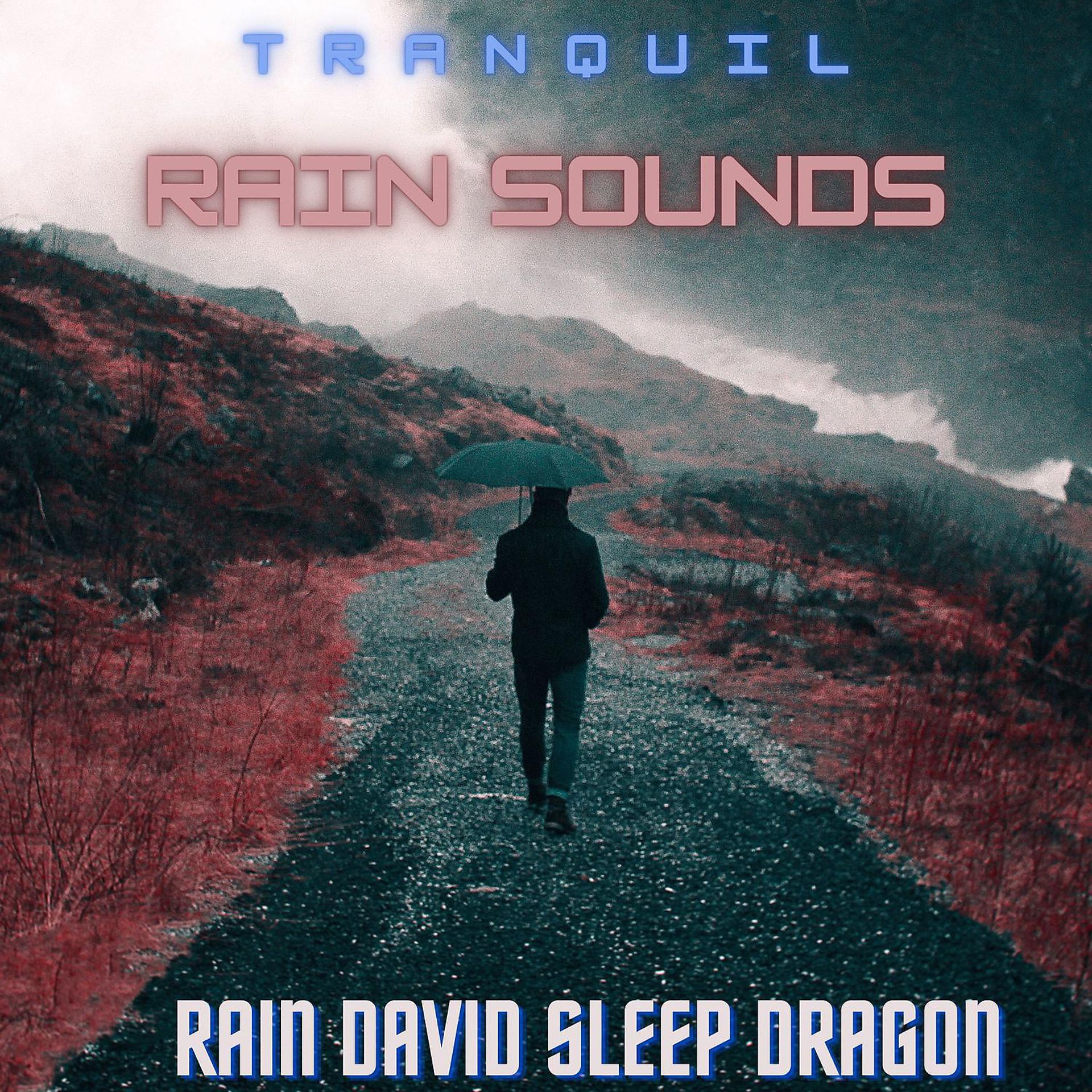Постер альбома Tranquil Rain Sounds