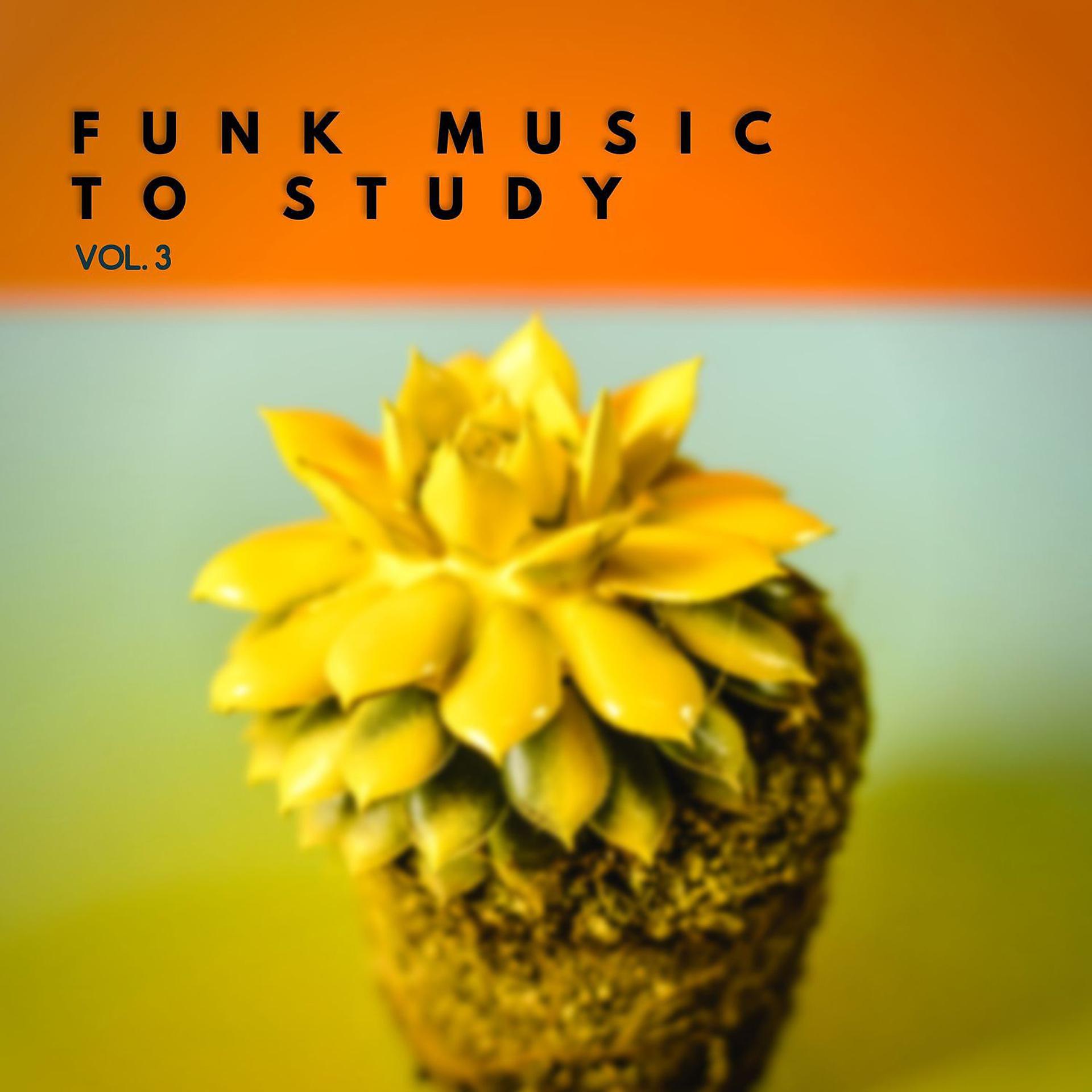Постер альбома Funk Music to Study Vol. 3