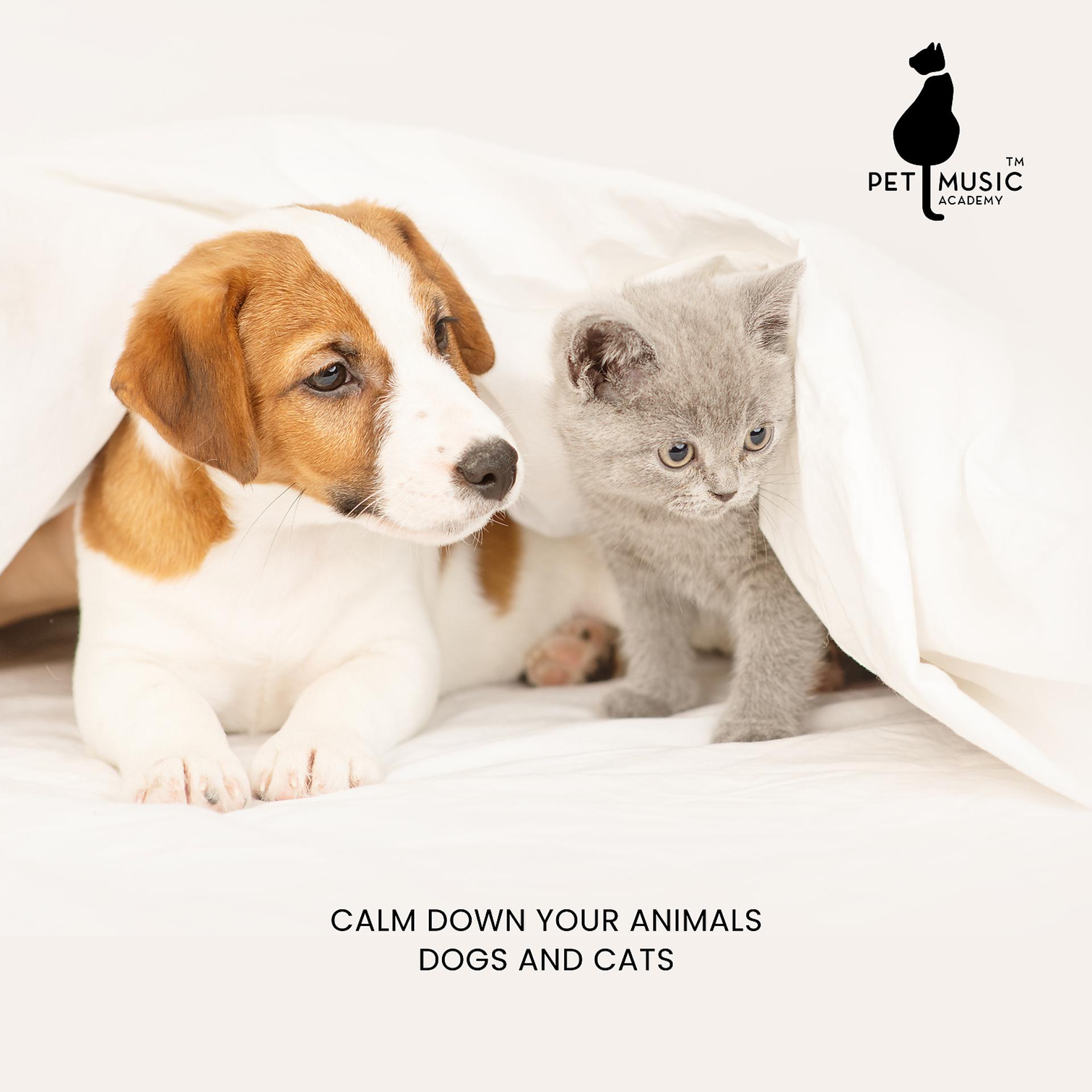 Постер альбома Calm Down Your Animals: Relaxing Music for Dogs and Cats, Soothing Sounds for Pets, Deep Sleep for Dog and Cat