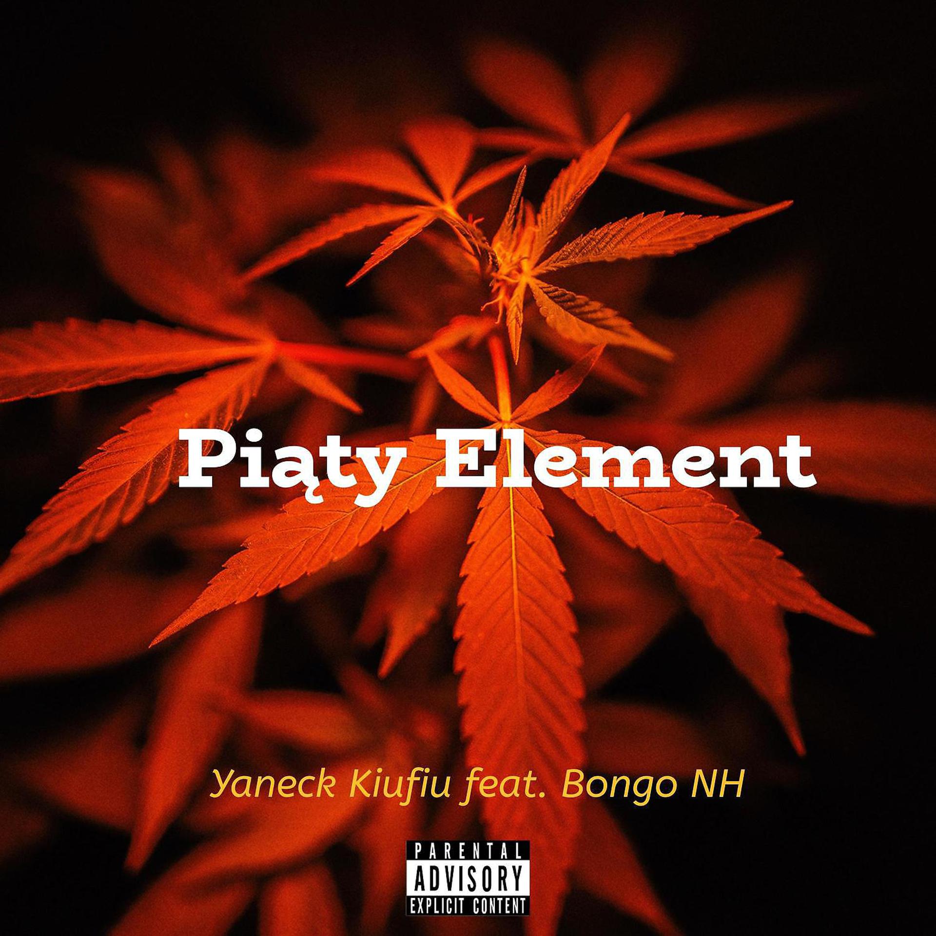 Постер альбома Piaty element