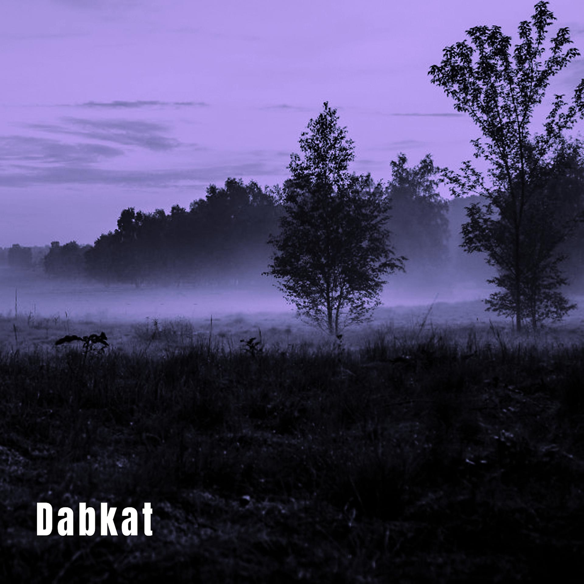Постер альбома Dabkat
