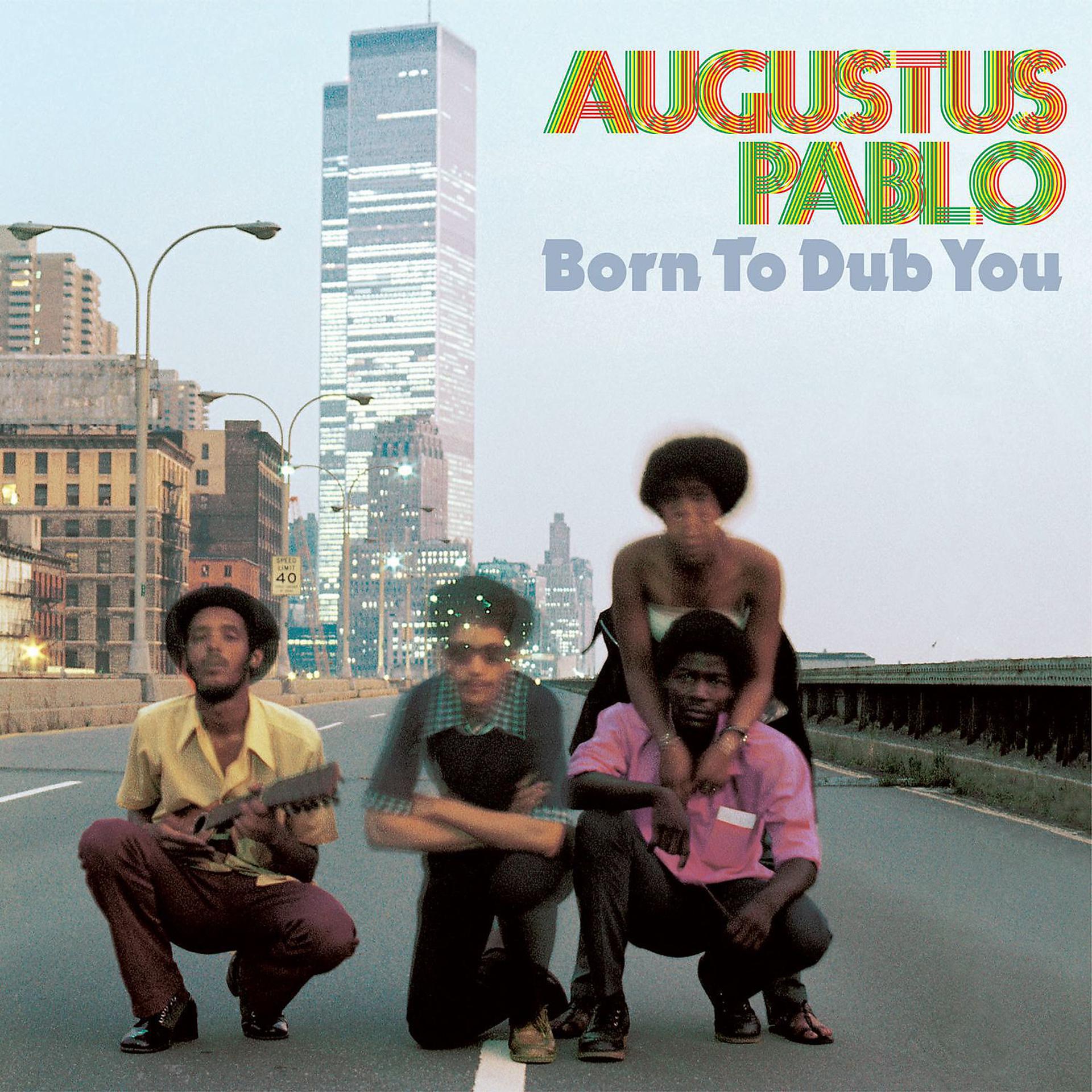 Постер альбома Born to Dub You