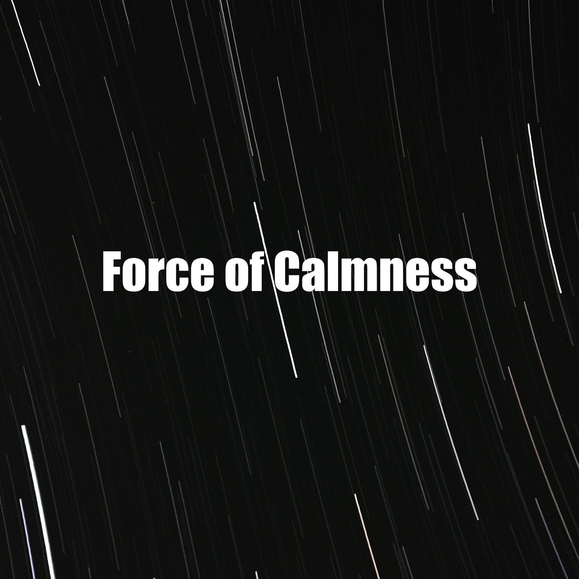 Постер альбома Force of Calmness