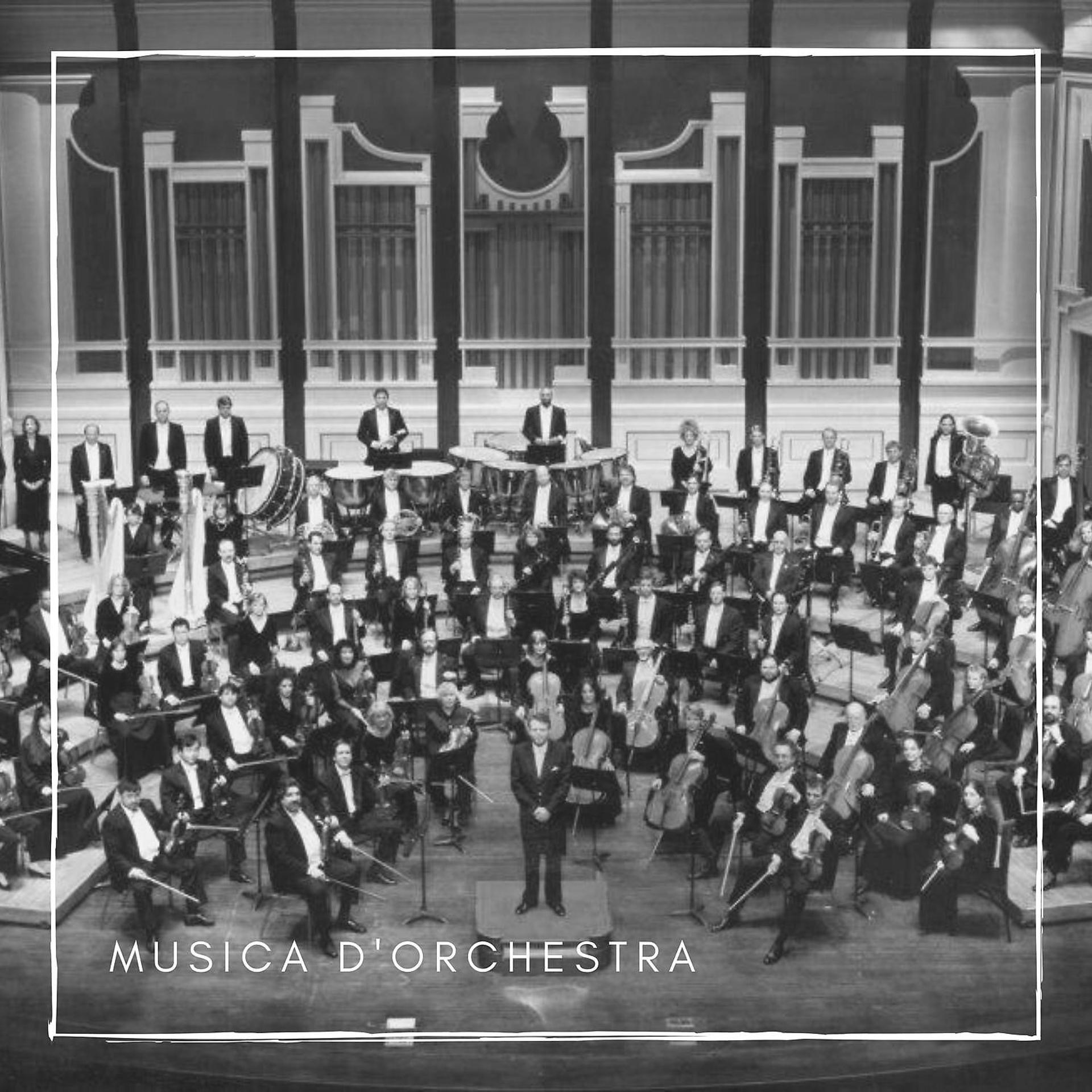 Постер альбома Musica D'Orchestra