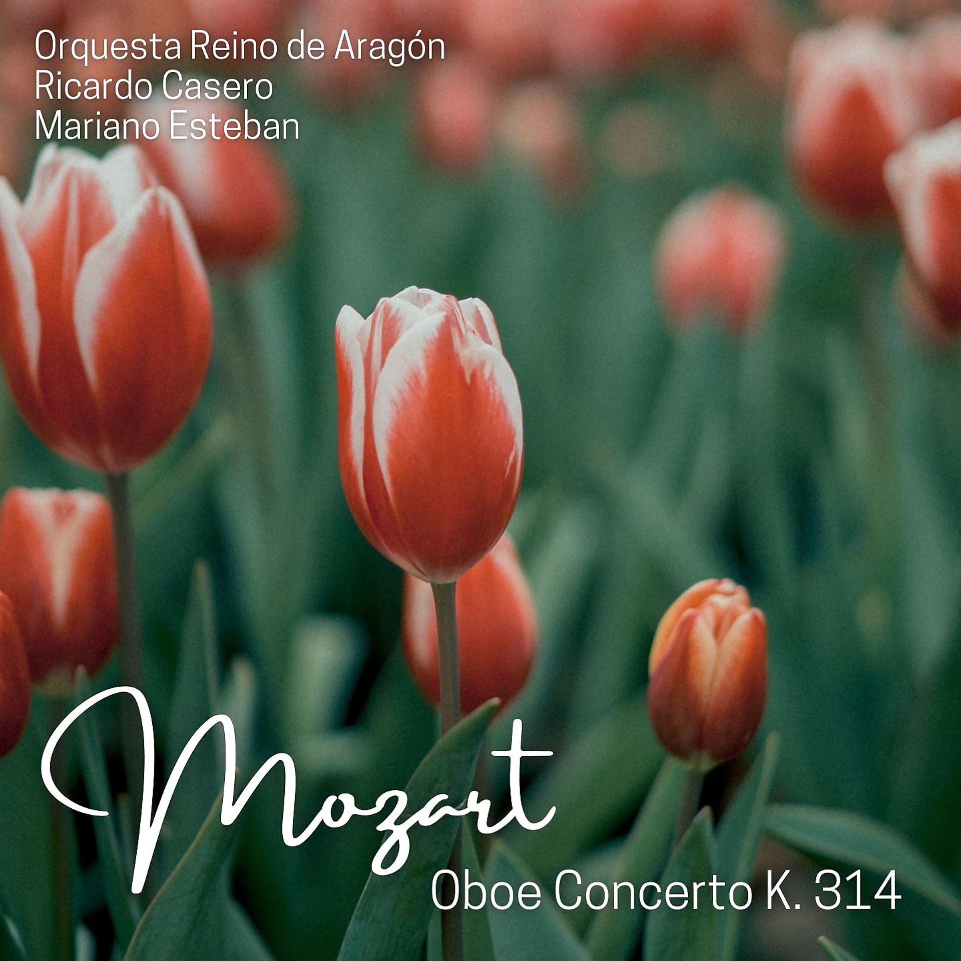 Постер альбома Mozart: Oboe Concerto in C Major, K. 314