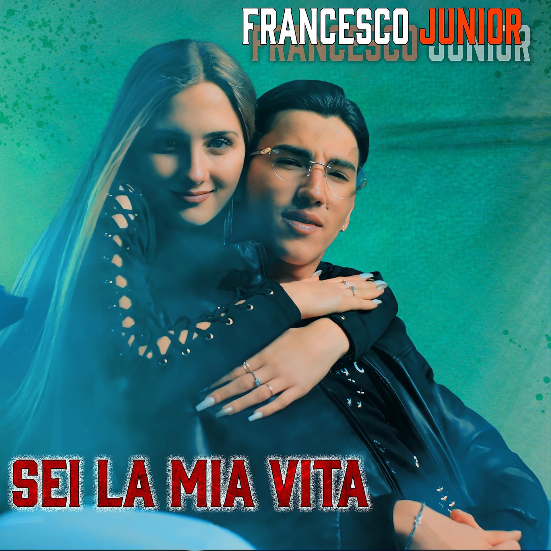 Постер альбома Sei la mia vita