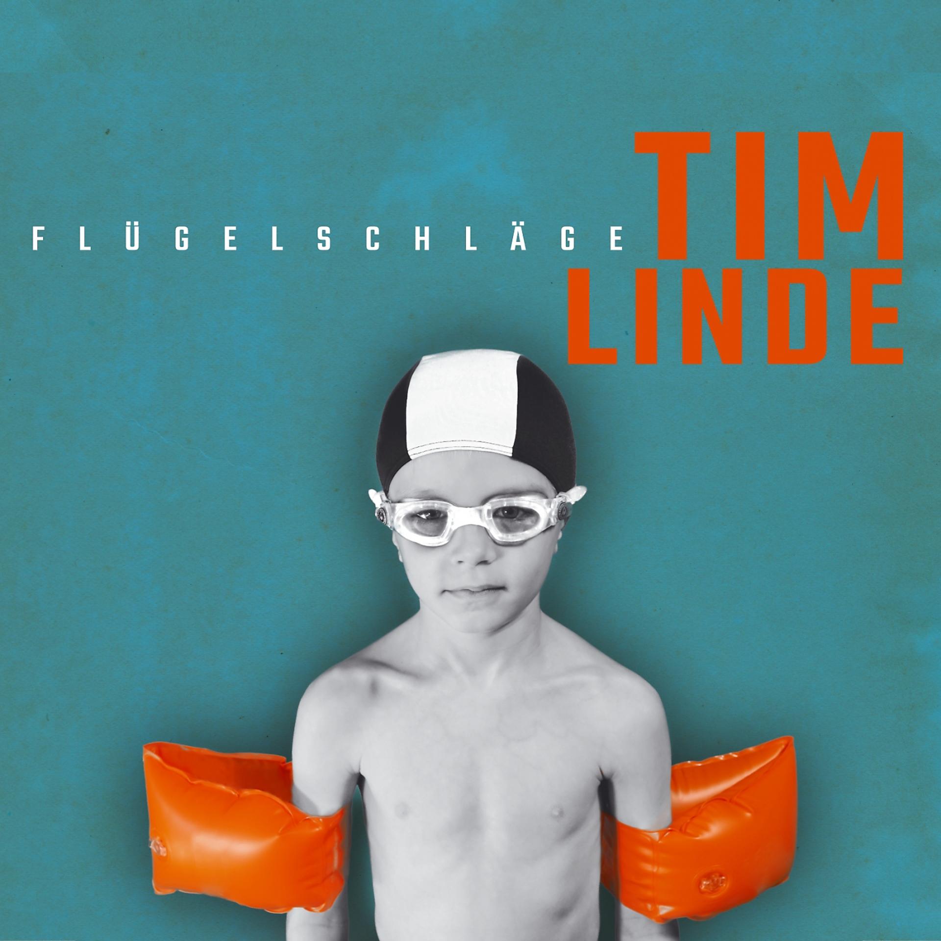 Постер альбома Flügelschläge