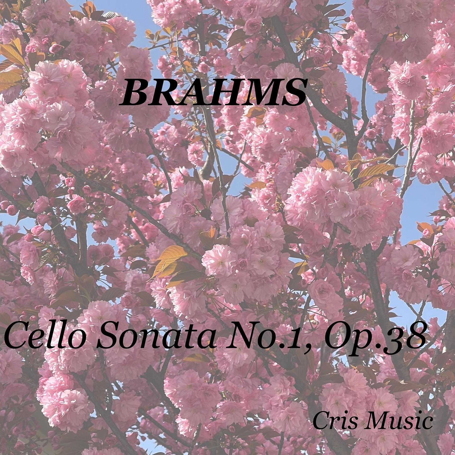 Постер альбома Brahms: Cello Sonata No. 1, Op.38
