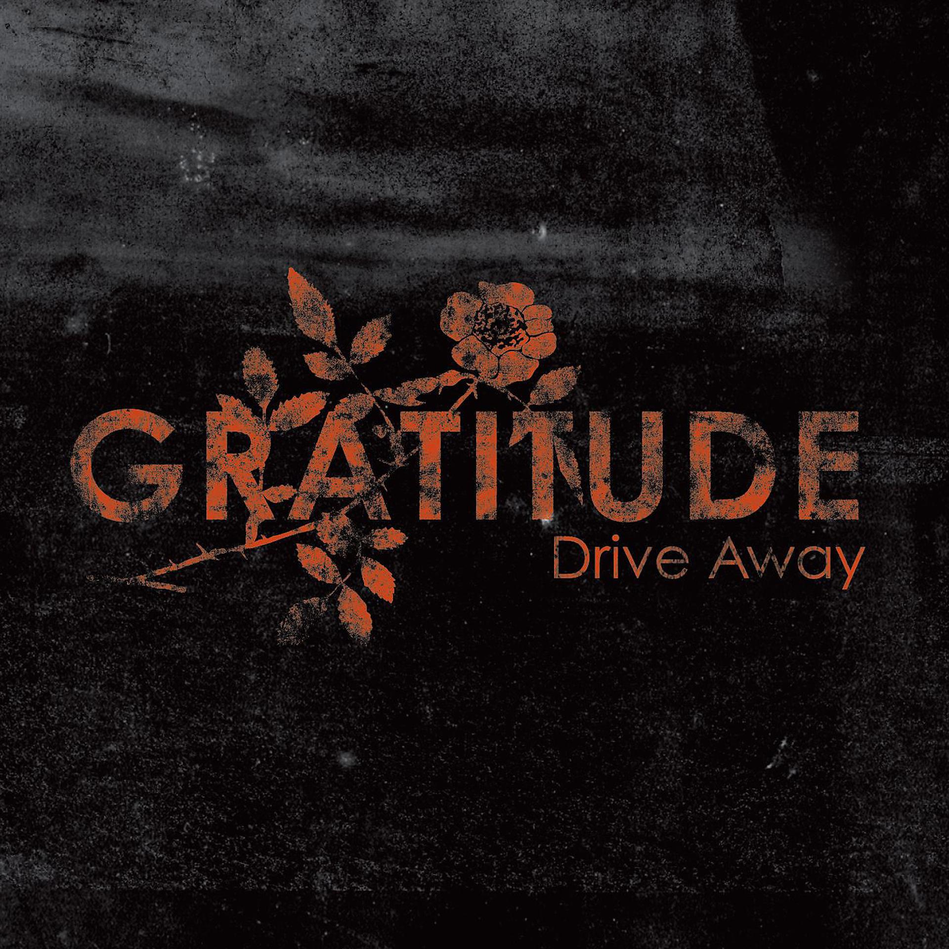 Постер альбома Drive Away (Online Music)