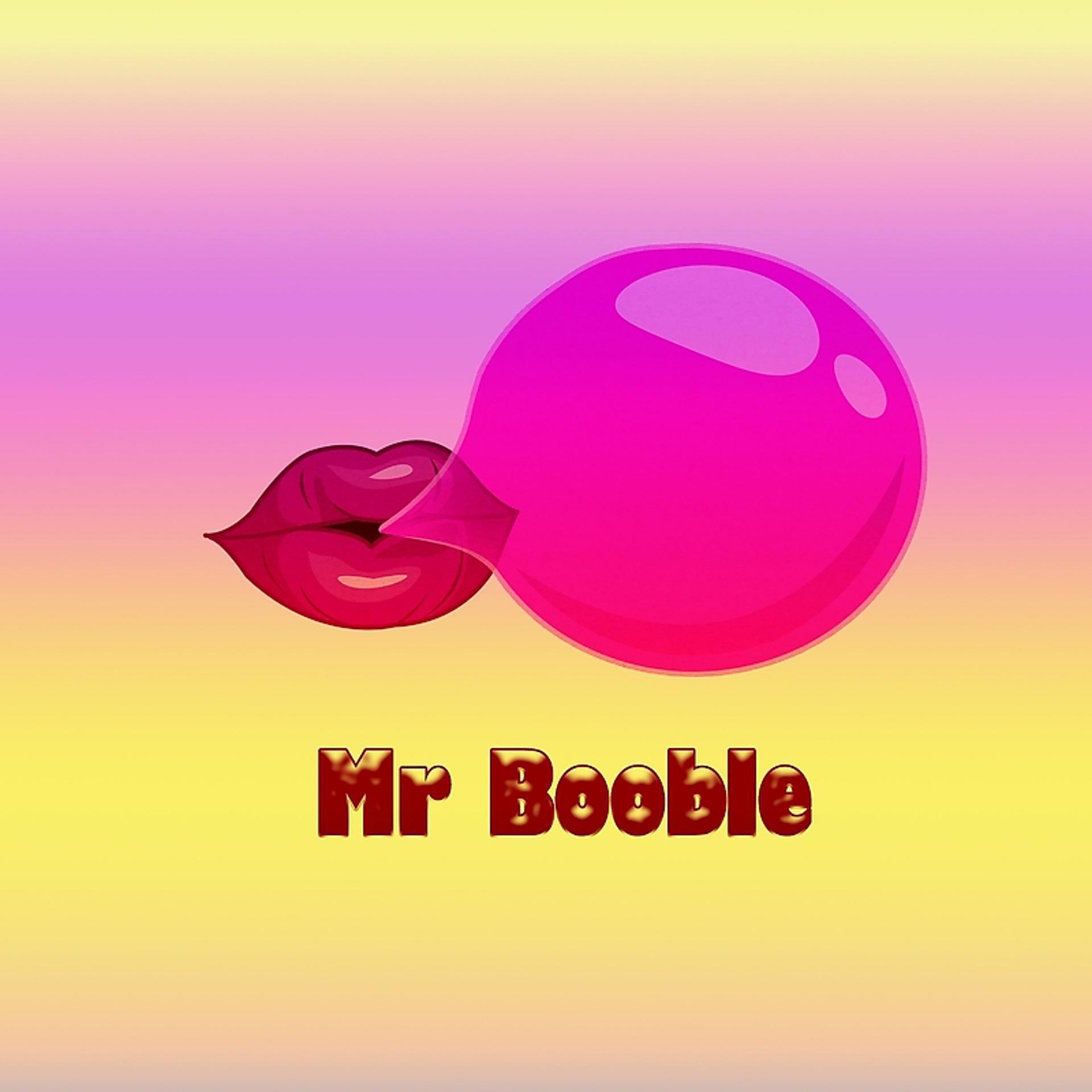 Постер альбома Mr. Booble