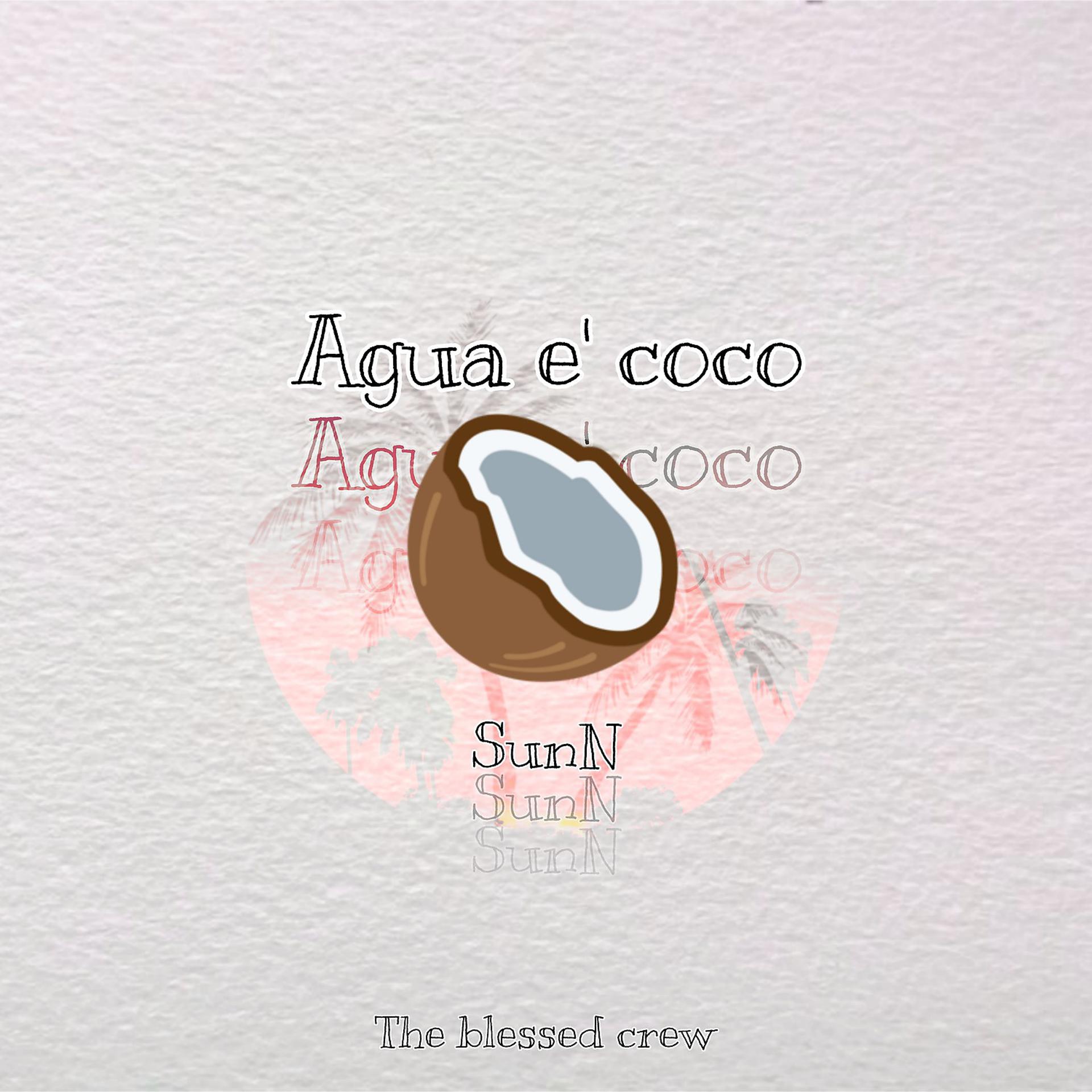 Постер альбома Agua e' coco