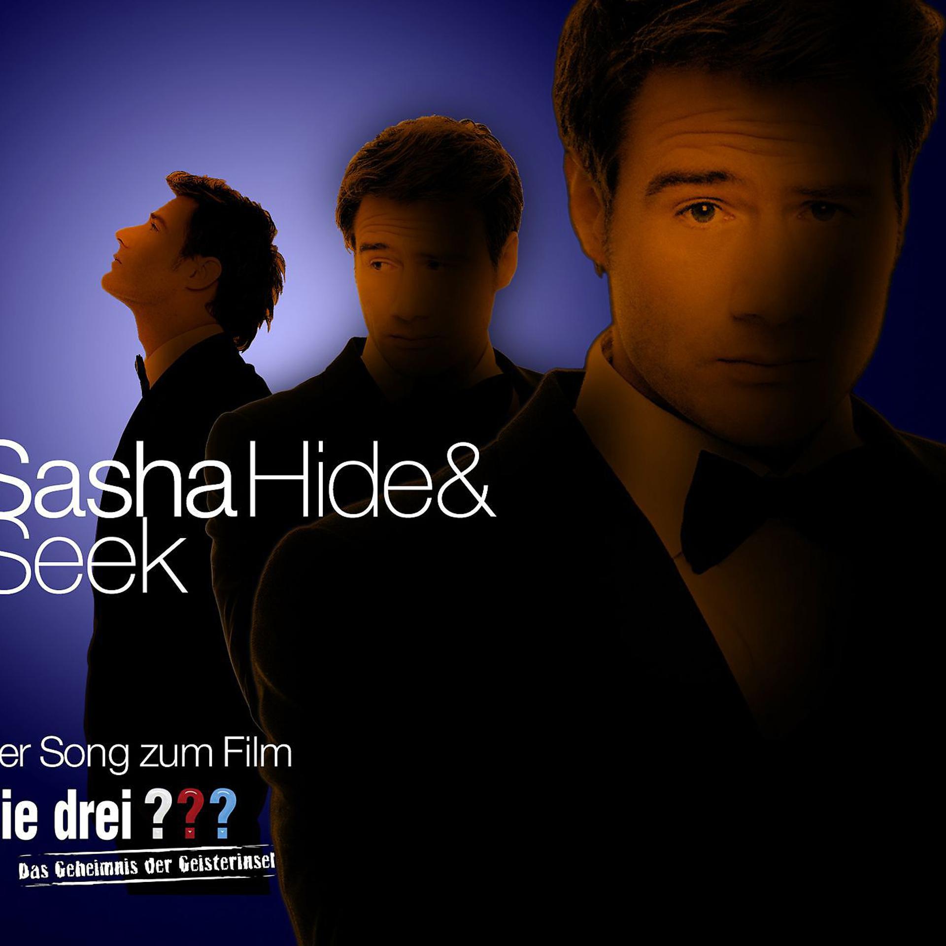 Постер альбома Hide & Seek (Maxi-CD)
