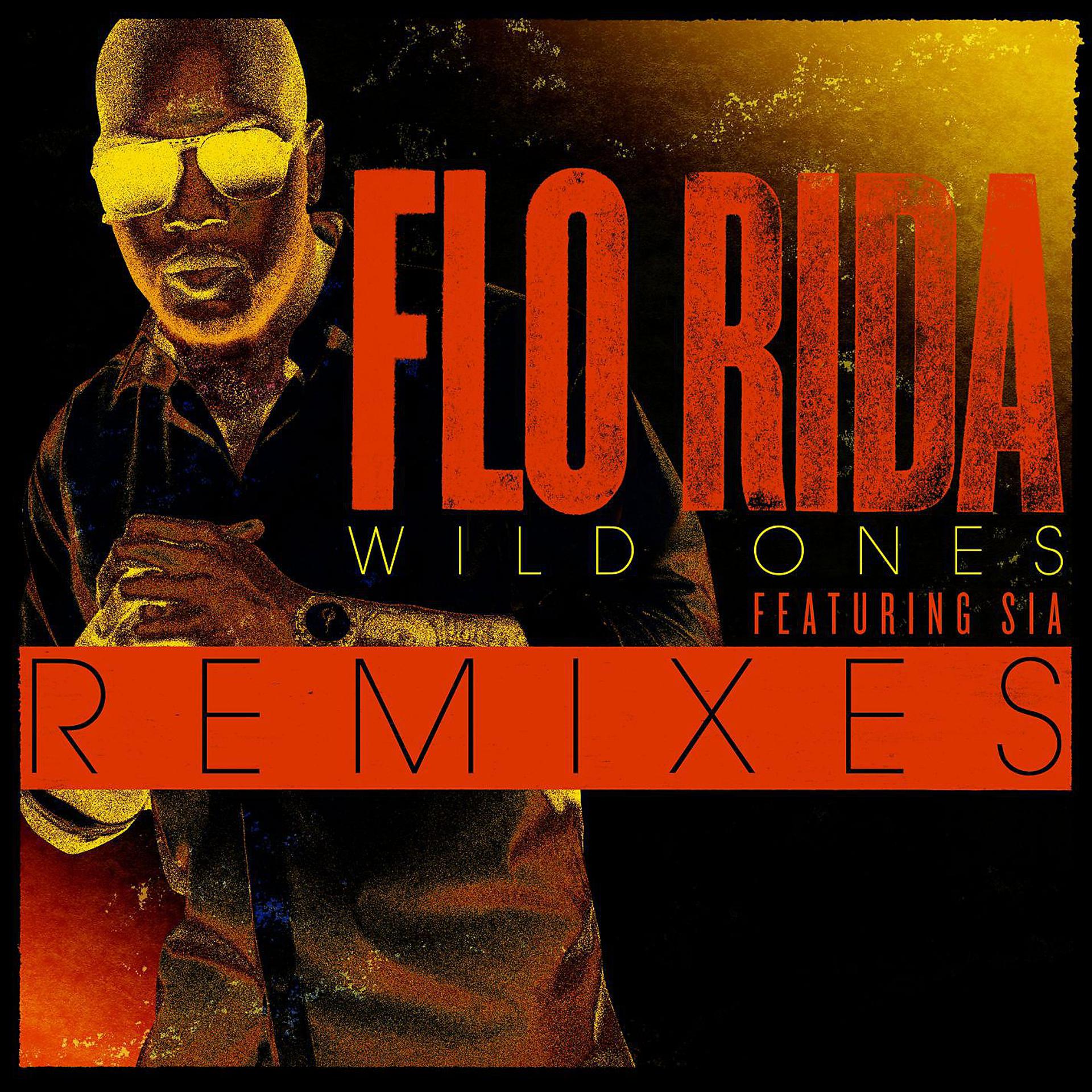 Постер альбома Wild Ones (feat. Sia) [Remixes]