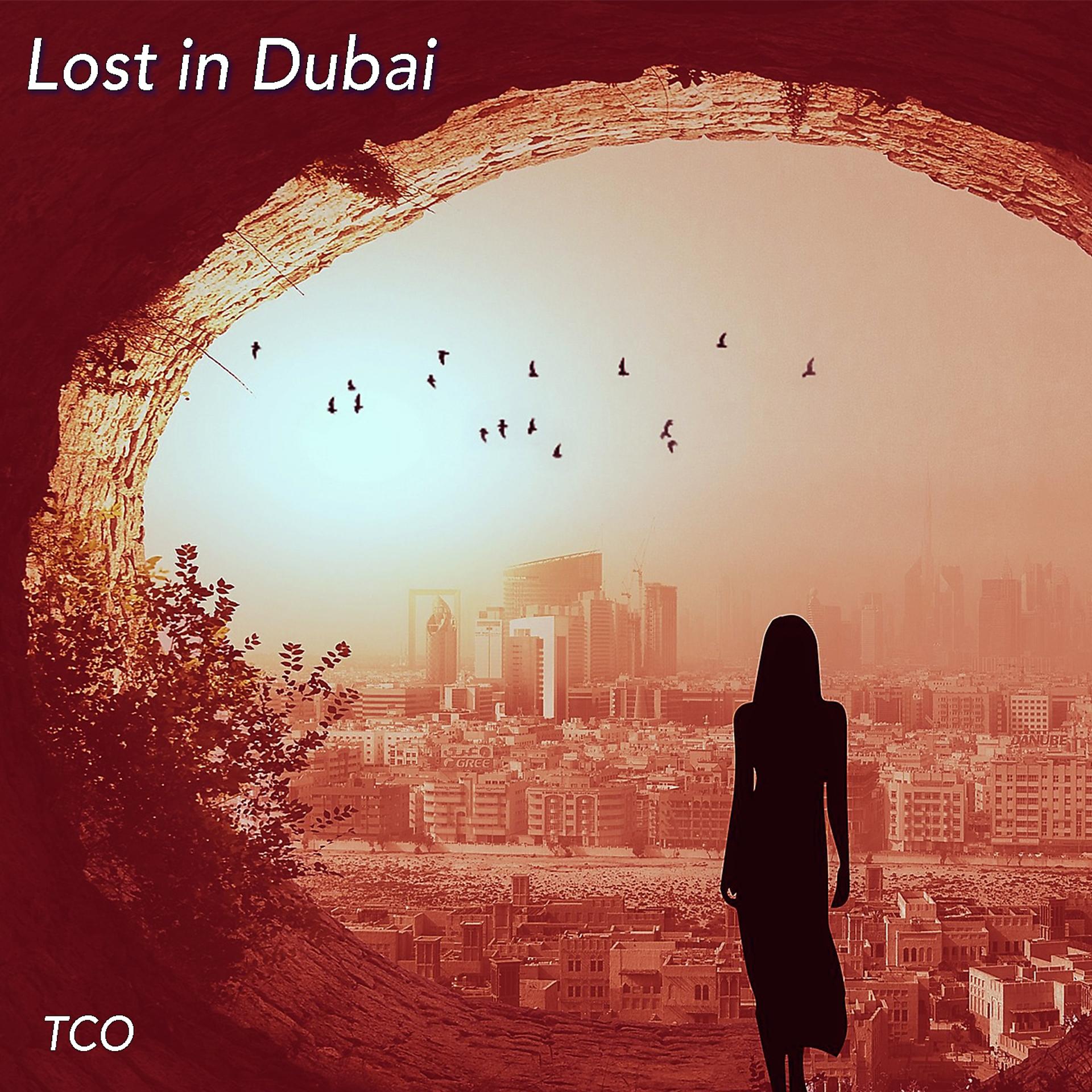 Постер альбома Lost in Dubai