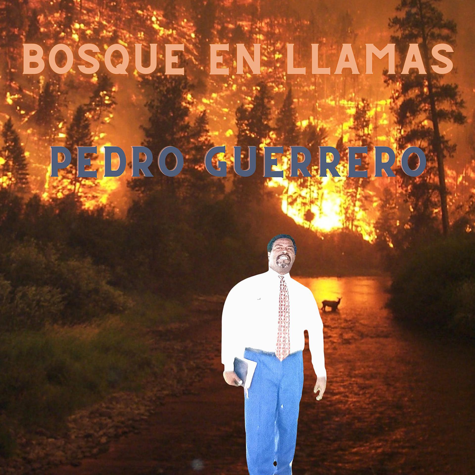 Постер альбома Bosque en Llamas